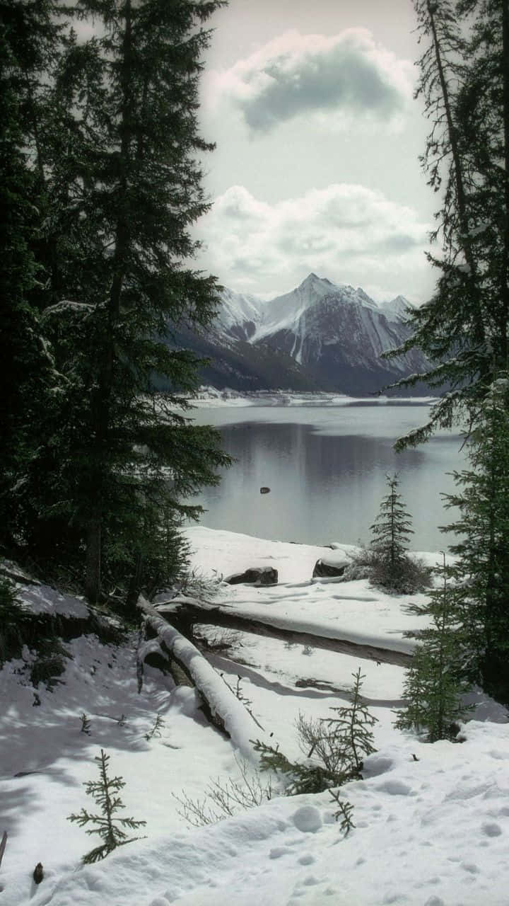 桌布 壁紙 — 白雪覆蓋著一個寧靜的山間湖泊，四周是常青樹，天空多雲。