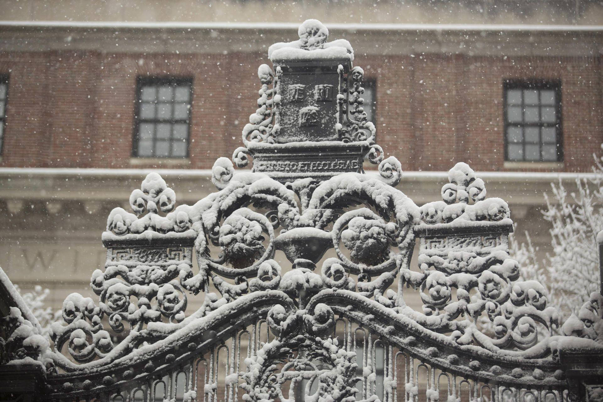 建築 桌布 壁紙 — 白雪覆蓋著一座裝飾華麗的鐵門，上面有複雜的捲曲花紋，背景是磚砌建築，正下著輕柔的雪。