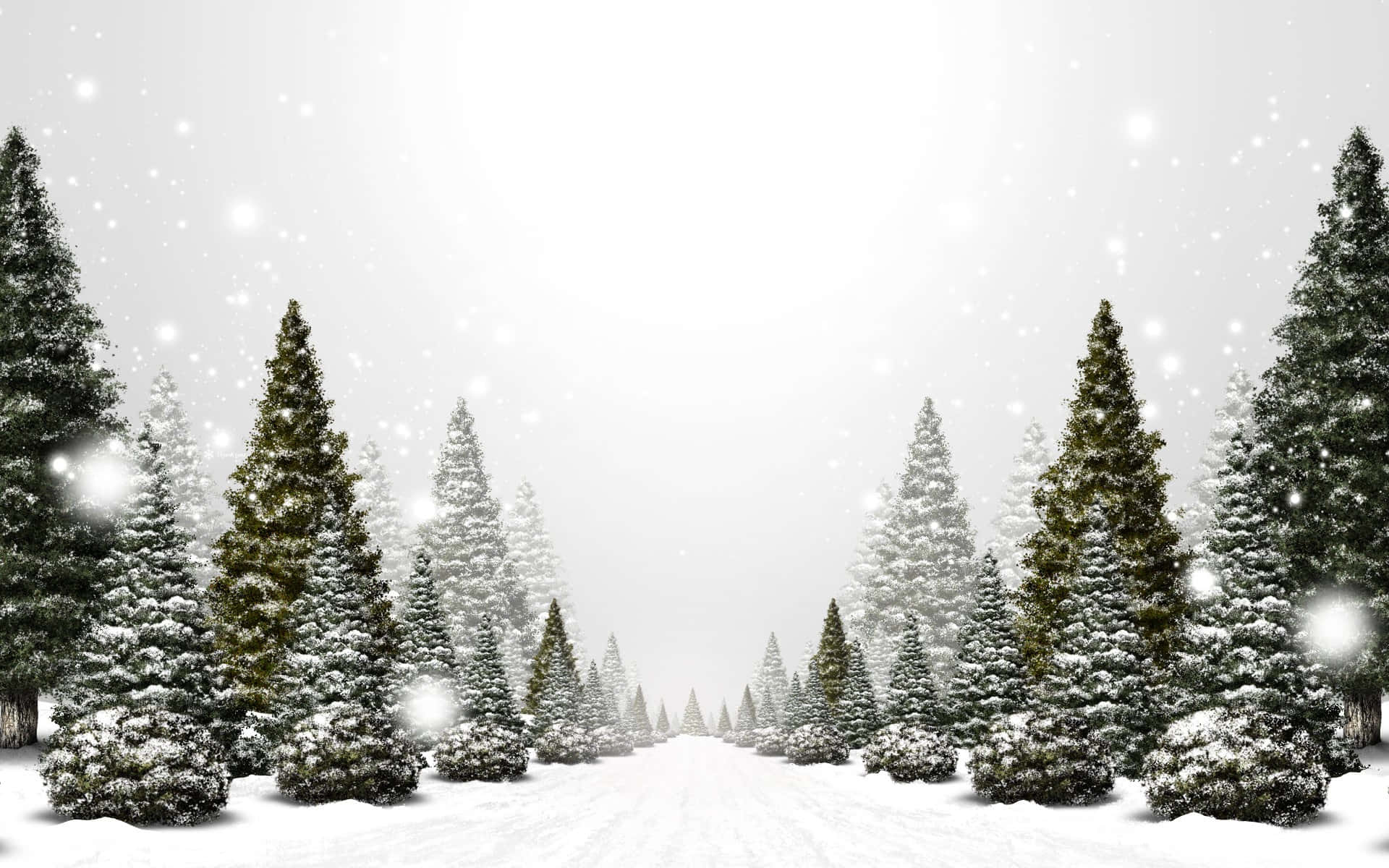 冬天 桌布 壁紙 — 白雪覆蓋著一排排常綠樹，沿著寧靜的森林小徑，在柔軟飄雪的天空下。