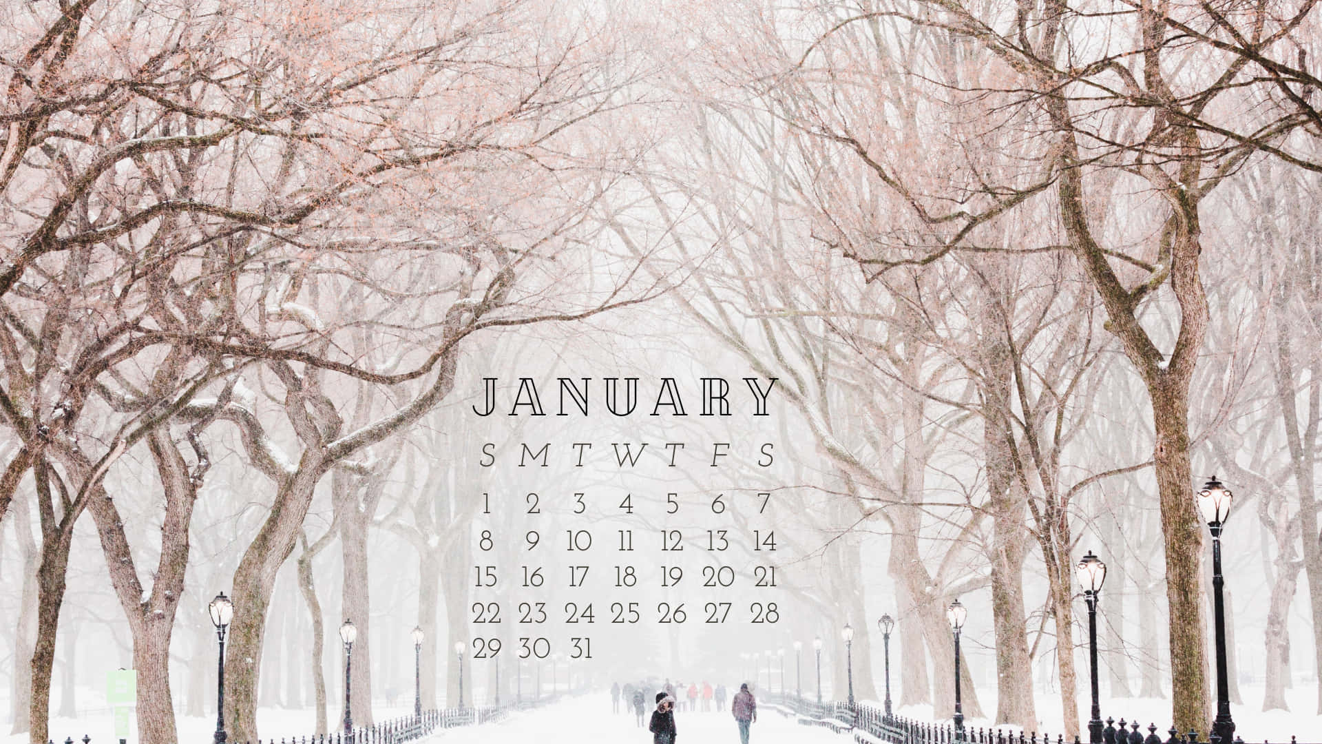Hello January 桌布 壁紙 — 白雪覆蓋著一條樹木成蔭的公園小徑，兩個身影在一月日曆疊加層下行走。