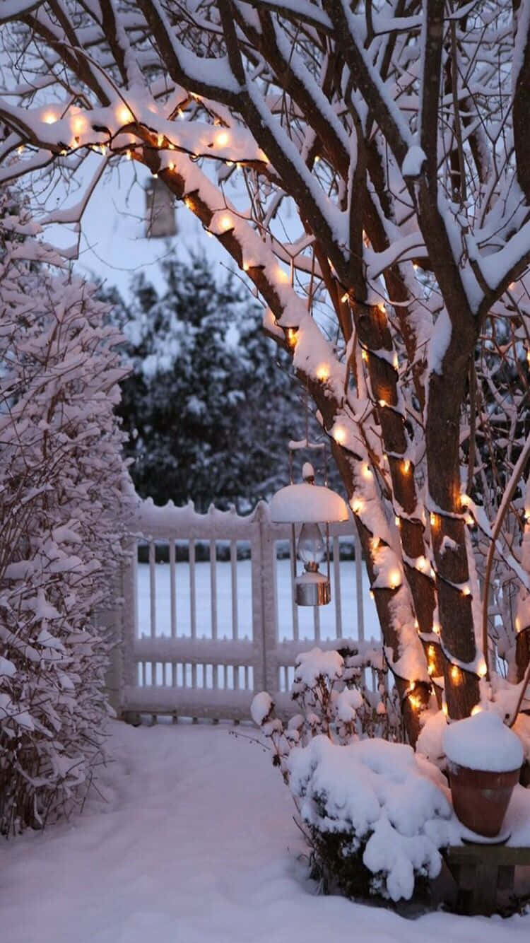 冬季美學 桌布 壁紙 — 白雪覆蓋著一條花園小徑，兩旁是光禿禿的樹木，樹上裝飾著發光的串燈和懸掛的燈籠。