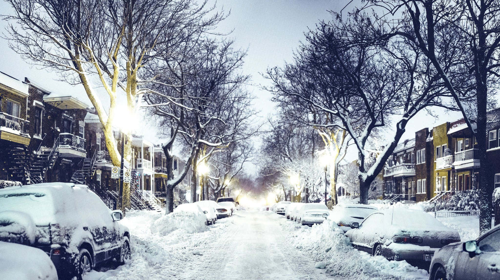 桌布 壁紙 — 白雪覆蓋著停泊的汽車和光禿禿的樹木，排列在一條寧靜的住宅街道上，在黃昏時分閃爍的街燈下。