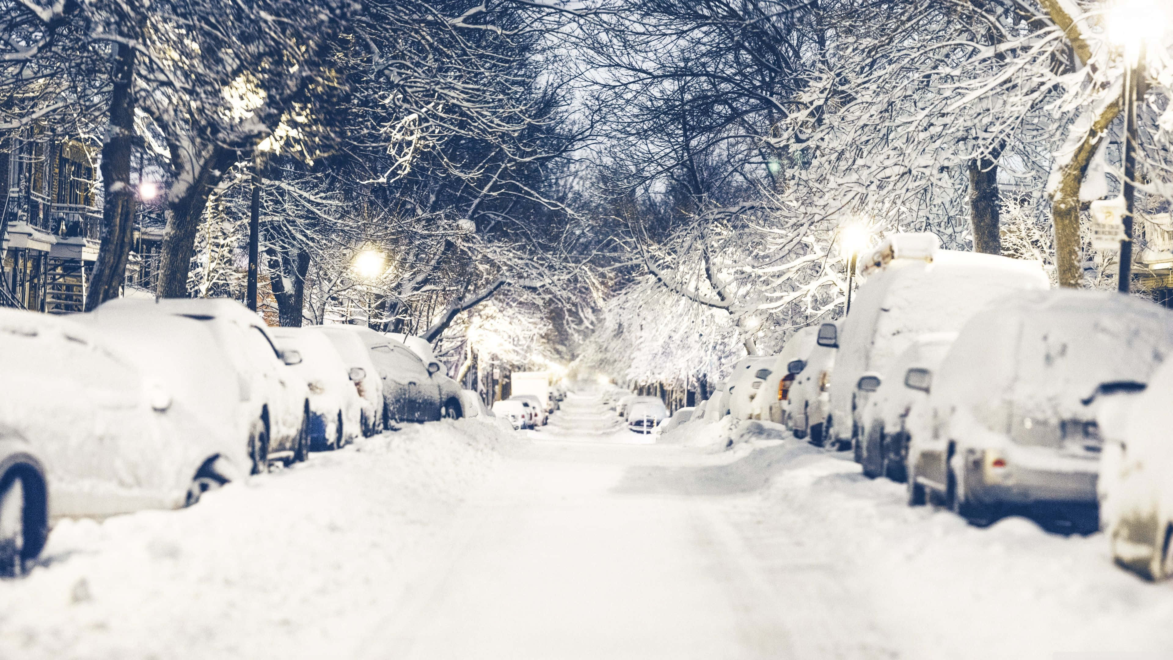 桌布 壁紙 — 白雪覆蓋著停泊的汽車和光禿禿的樹木，排列在一條寧靜的街道上，夜晚被溫暖的路燈照亮。