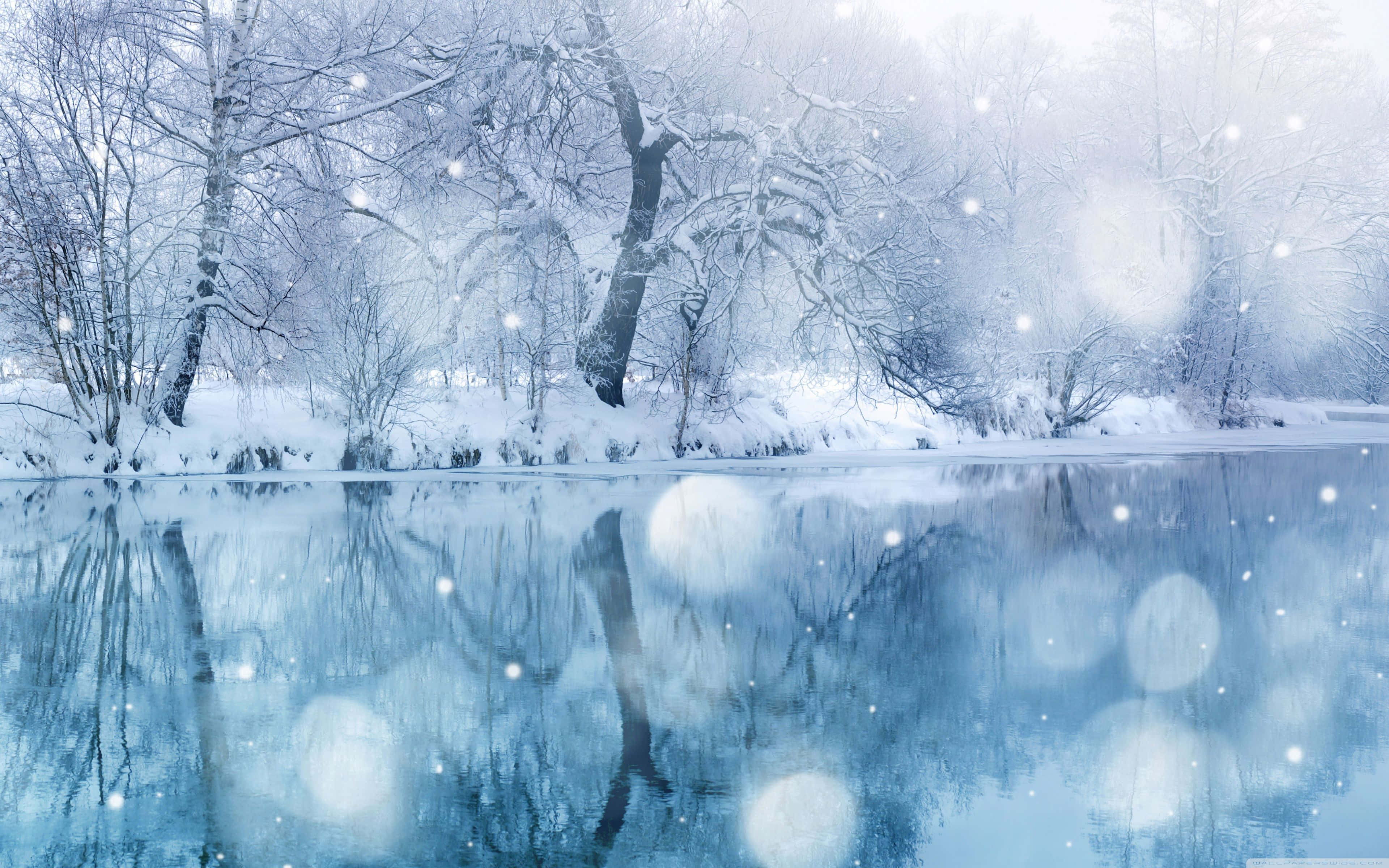 HD Winter 桌布 壁紙 — 白雪覆蓋著光禿的樹木，旁邊平靜的河流映照著冬日天空和柔和散景燈光。