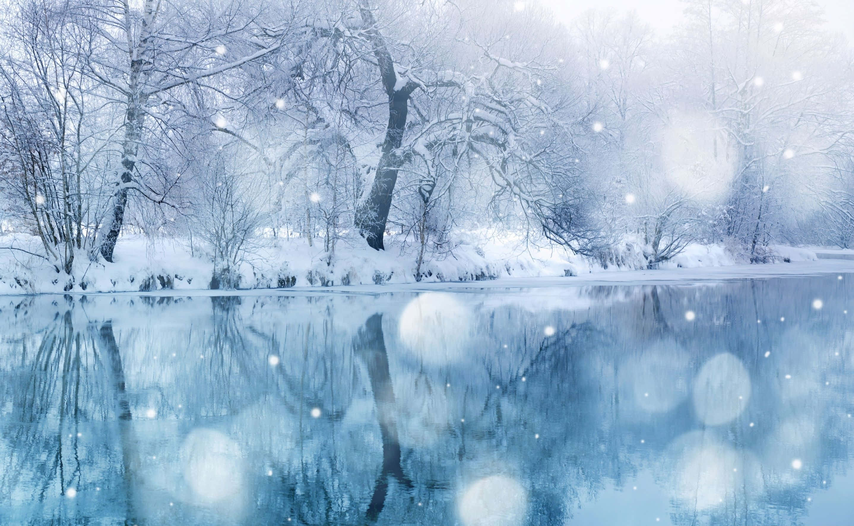 Winter Blues 桌布 壁紙 — 白雪覆蓋著光禿的樹木，旁邊平靜的河流反射著飄落雪花的柔和光芒。