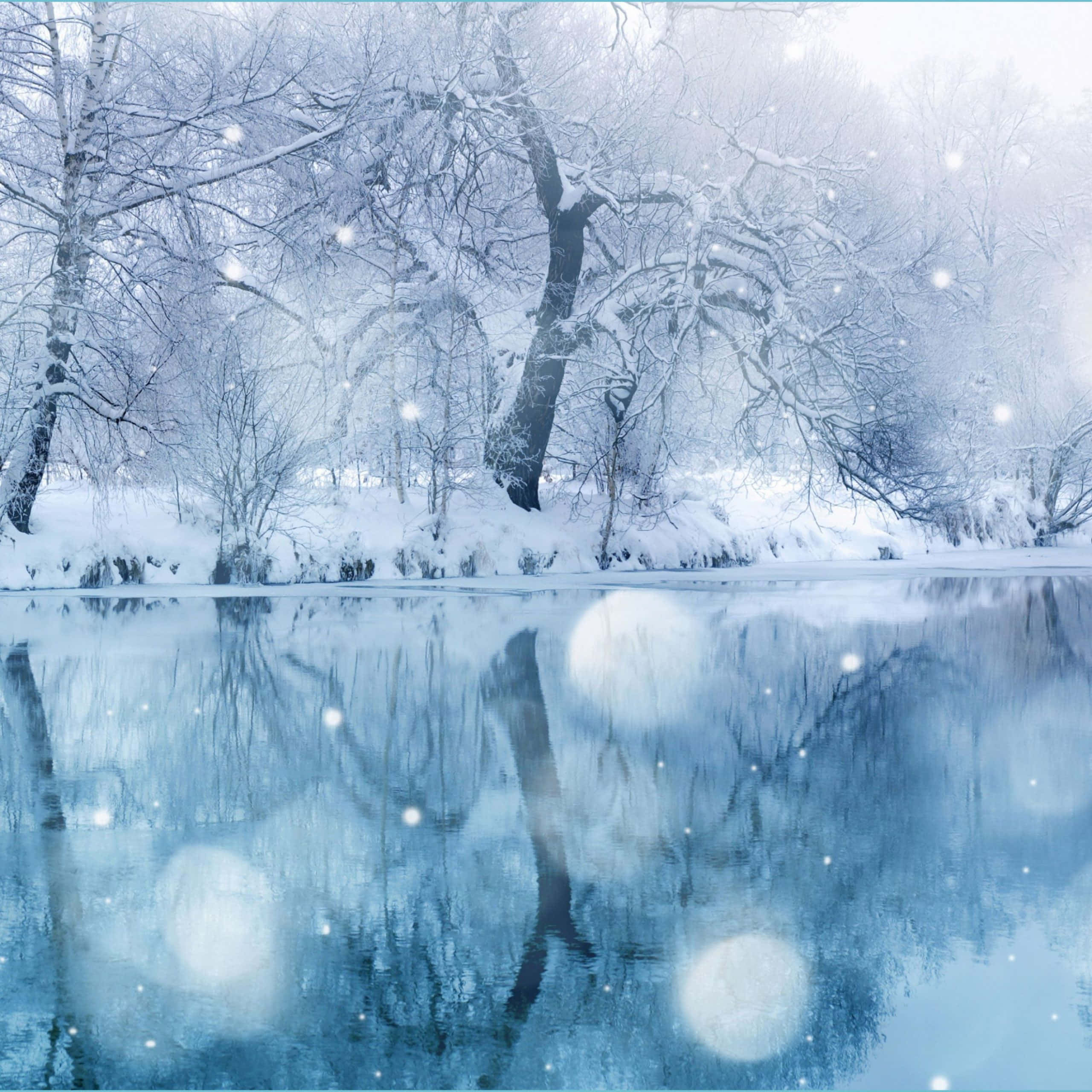 Cute Winter Aesthetic 桌布 壁紙 — 白雪覆蓋著光禿禿的樹木，旁邊平靜的結冰湖面反射出柔和的藍色冬日天空和飄落的雪花。