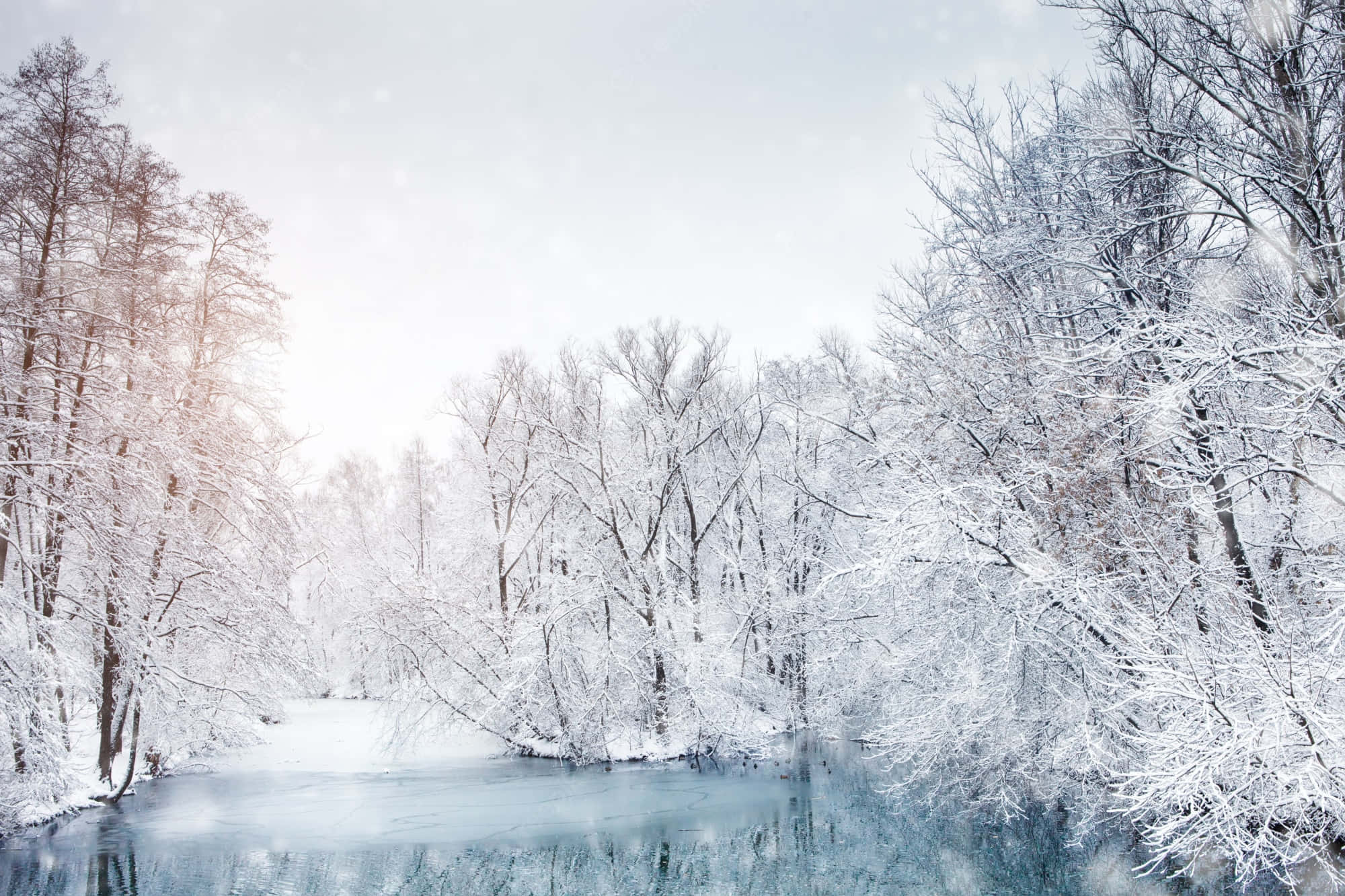 Beautiful Winter 桌布 壁紙 — 白雪覆蓋著光禿禿的樹木，沿著結冰的河流排列，在蒼白的冬日天空下，柔軟的雪花飄落。