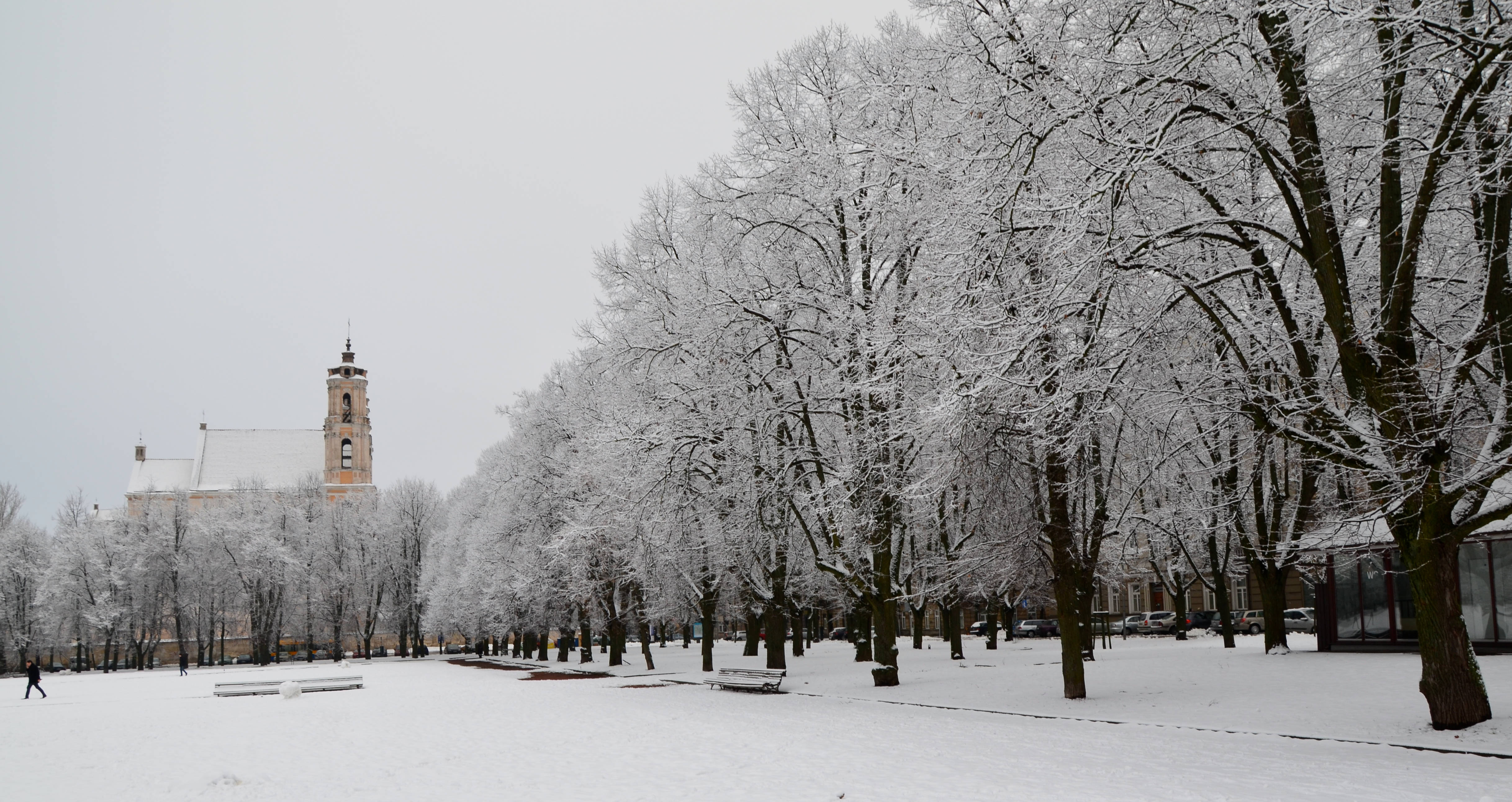 Vilnius 桌布 壁紙 — 白雪覆蓋著光禿禿的樹木和一條寬闊的公園小徑，通向一座歷史悠久的教堂塔樓，天空多雲。