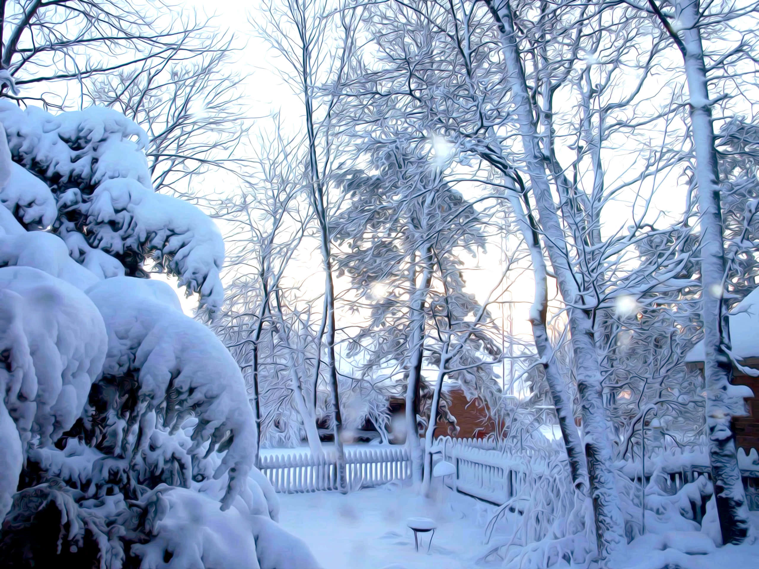 Best Winter 桌布 壁紙 — 白雪覆蓋著光禿禿的樹木和尖樁籬笆，在寧靜的冬日花園中，柔和的晨光閃耀。