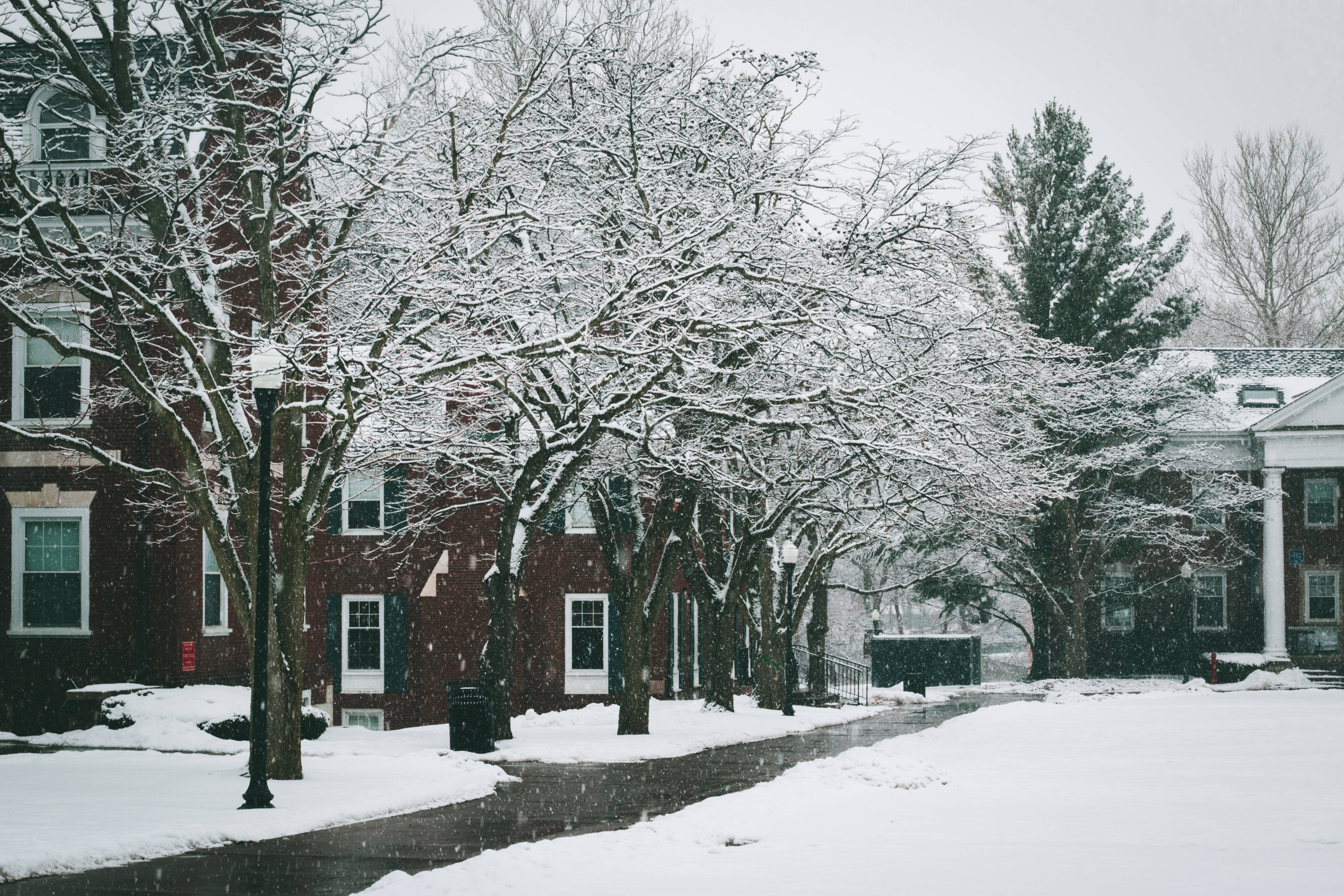 大學 桌布 壁紙 — 白雪覆蓋著光禿禿的樹木和磚造建築，沿著一條寧靜的住宅街道，在灰色的冬日天空下。