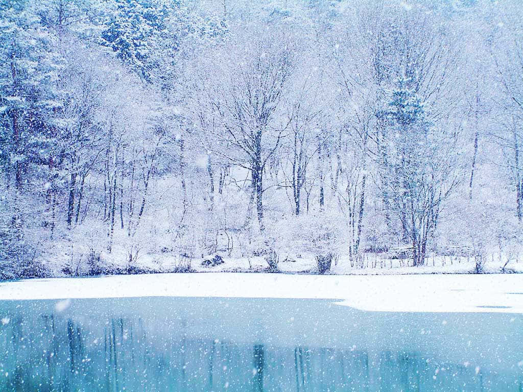 冬天 桌布 壁紙 — 白雪覆蓋著光禿禿的樹木和結冰的湖泊，柔和的藍色冬日天空下雪花飄落。
