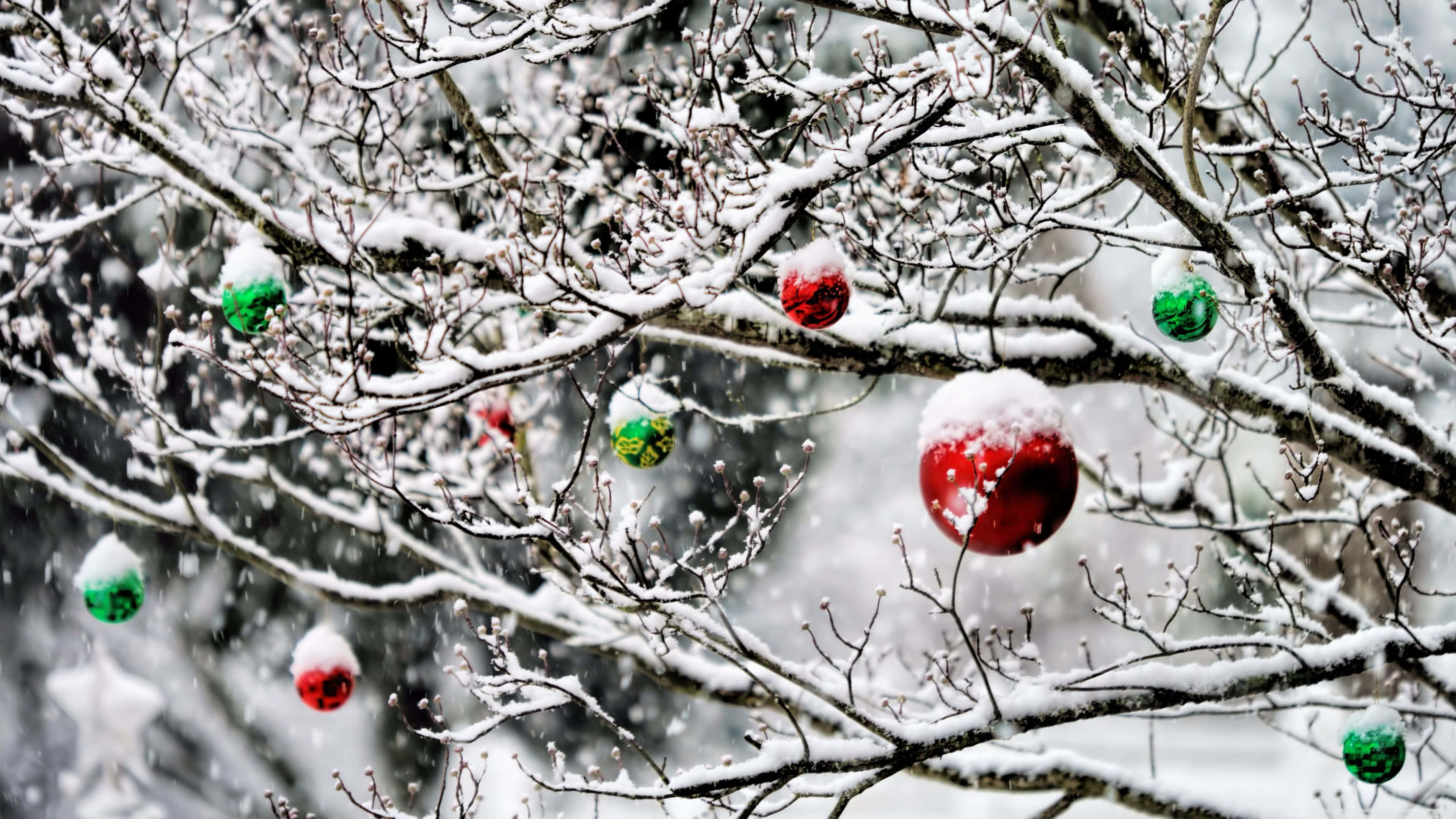 聖誕球 桌布 壁紙 — 白雪覆蓋著光禿禿的樹枝，樹枝上裝飾著紅色和綠色的聖誕飾物，捕捉著飄落的雪花。