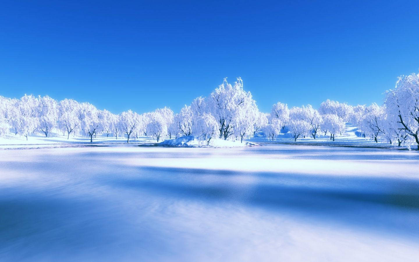Winter 桌布 壁紙 — 白雪覆蓋著冰凍的樹木，在清澈的藍天下，前景是模糊的冰面。