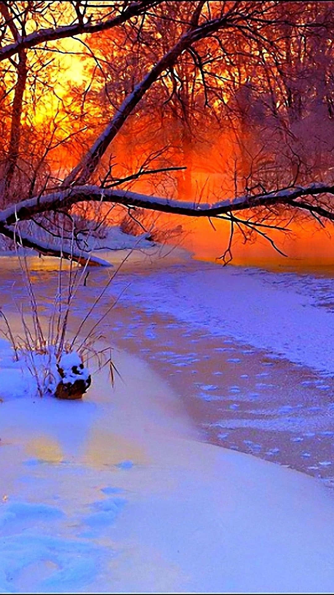 冬季美學 桌布 壁紙 — 白雪覆蓋著冰凍的河岸，火紅的橙色夕陽透過光禿的冬季樹木閃耀。