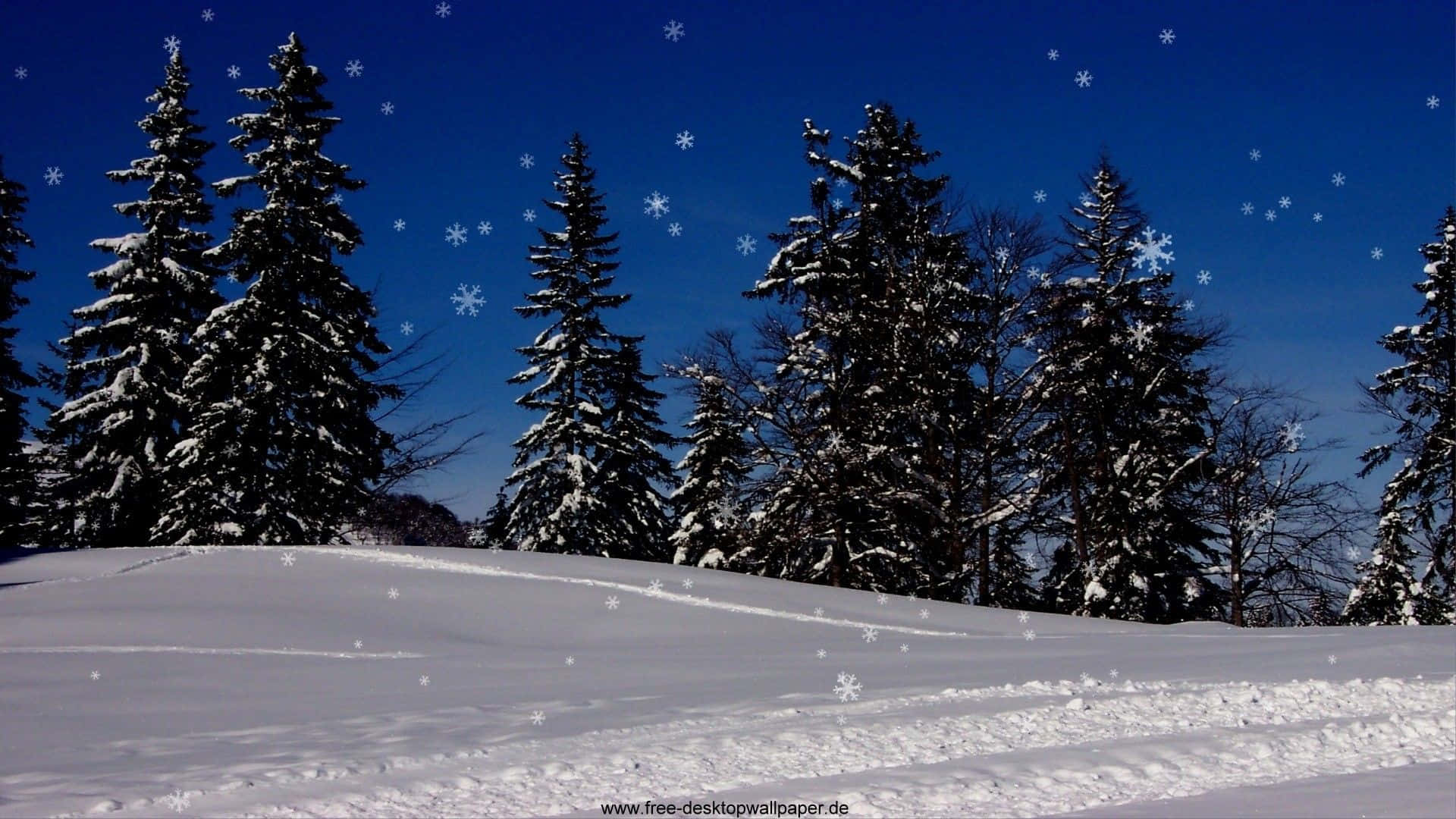 High Resolution Snow 桌布 壁紙 — 白雪覆蓋著寧靜的冬季森林，深藍色的天空下雪花飄落。
