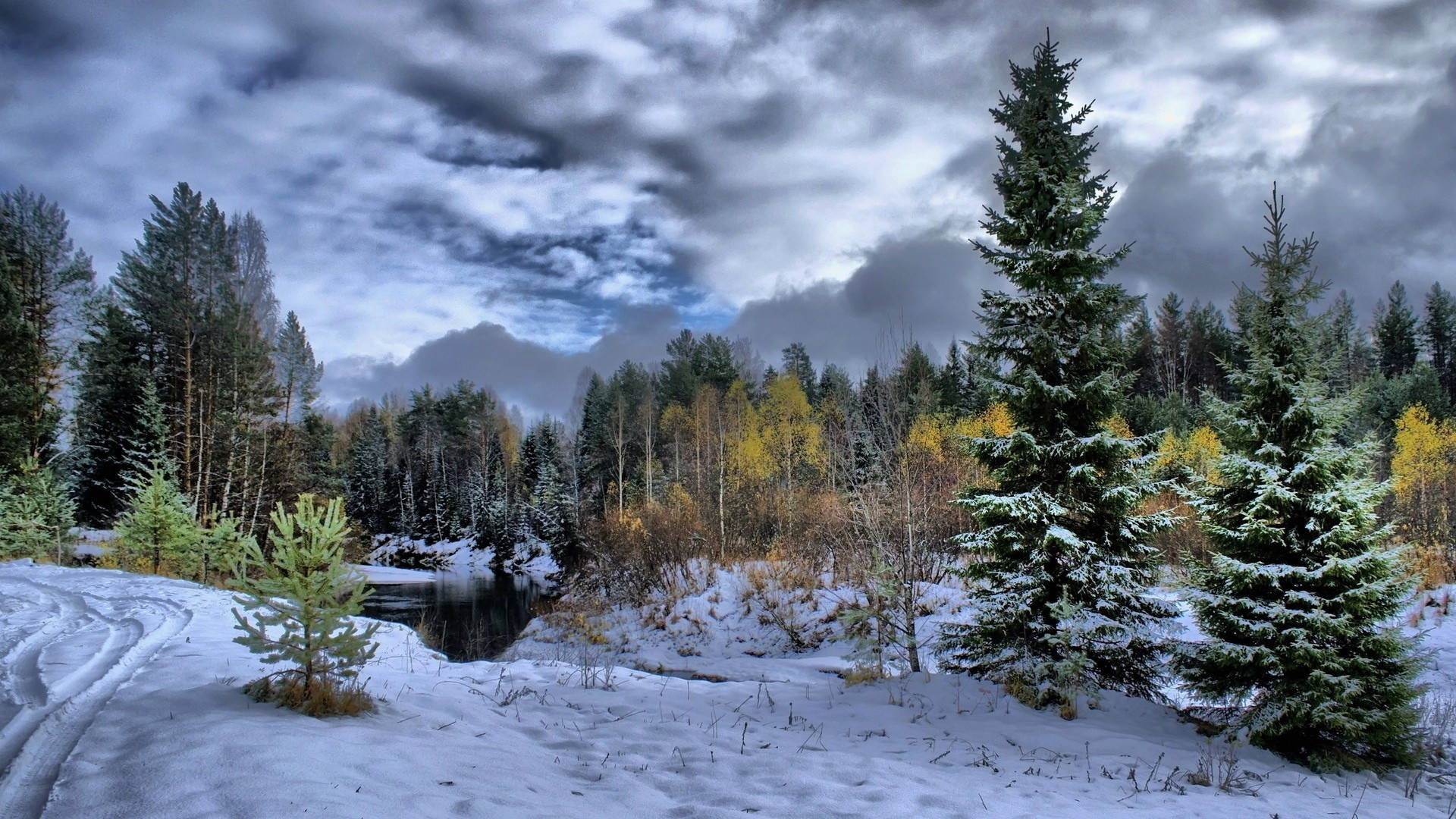 風景 桌布 壁紙 — 白雪覆蓋著寧靜的森林，常綠樹和秋色樹木在戲劇性的多雲天空下。