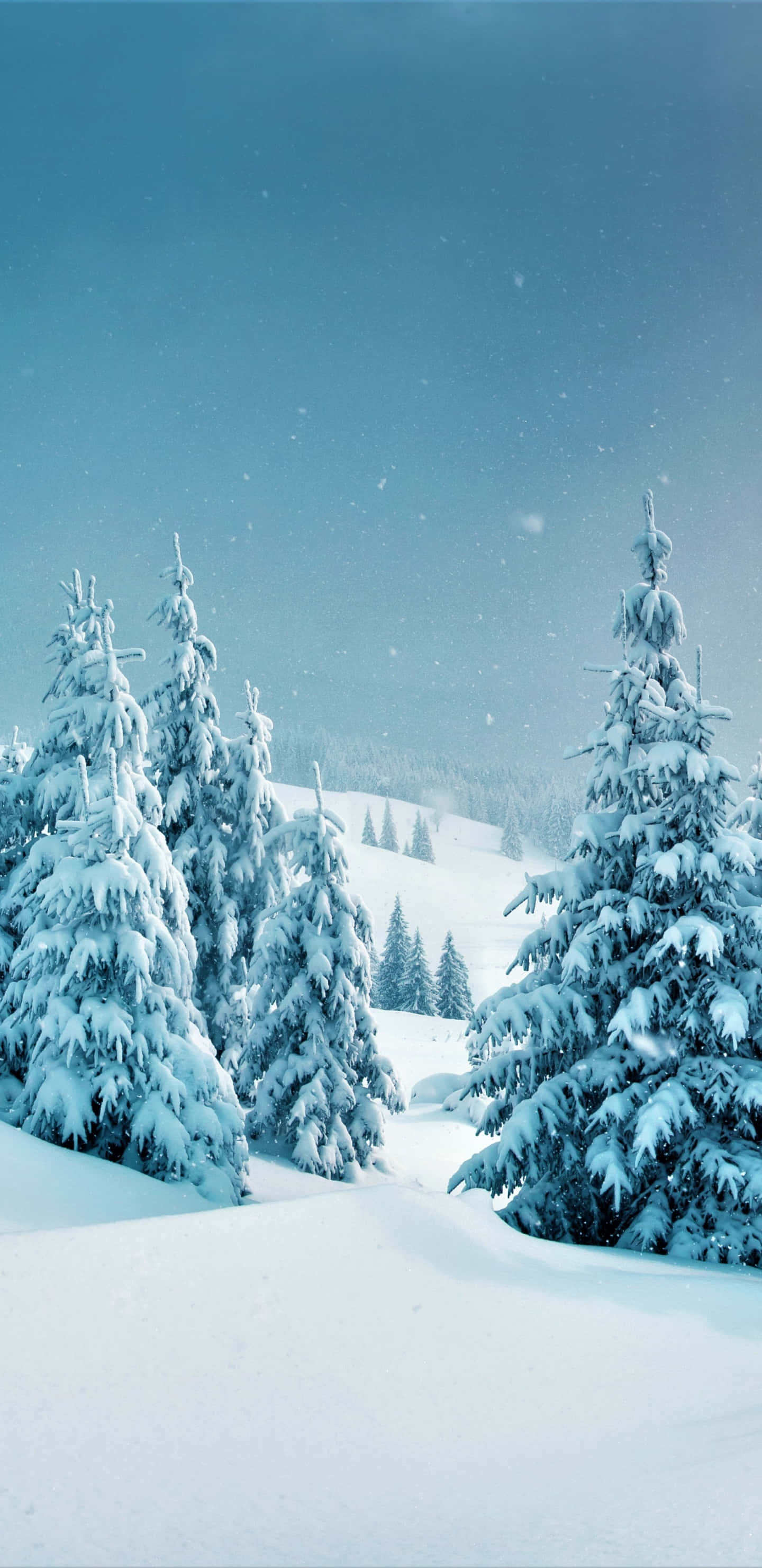 Snowy Forest 桌布 壁紙 — 白雪覆蓋著常綠樹，在淡藍色天空下，寧靜的冬季森林中飄落著雪花。