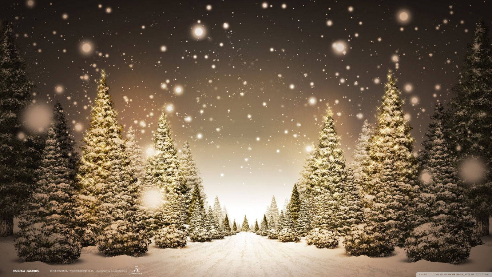 聖誕樹動畫 桌布 壁紙 — 白雪覆蓋著常綠樹，排列在一條小徑兩旁，上方是星光閃爍的冬日天空，伴有柔和發光的燈光。