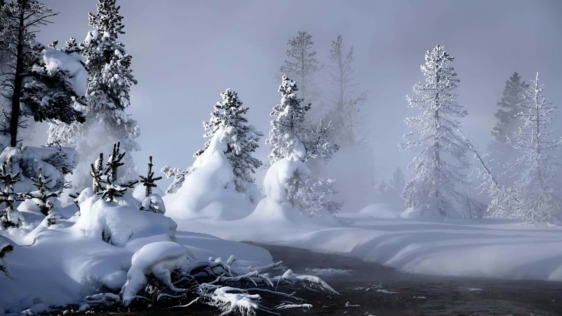1920x1080 Winter 桌布 壁紙 — 白雪覆蓋著常綠樹和蜿蜒的河流，在灰色天空下的迷霧冬季森林中。