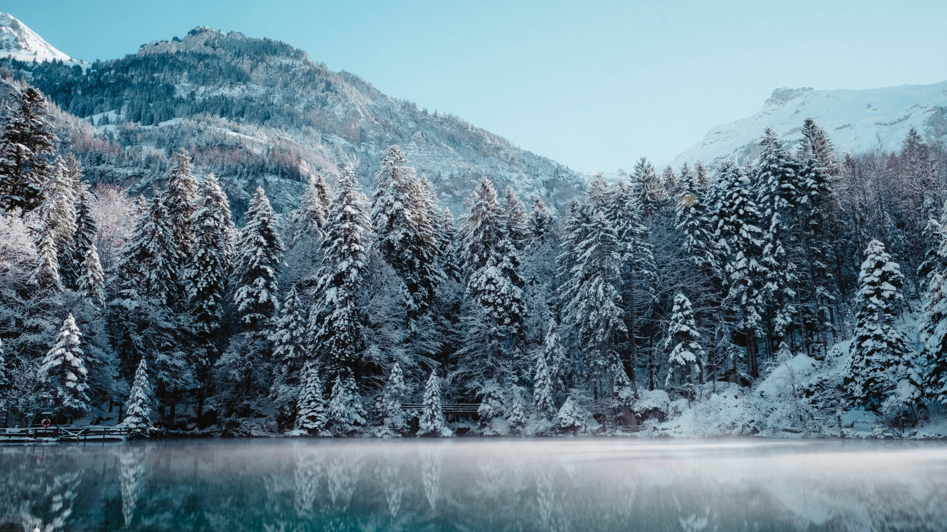 冬季美學 桌布 壁紙 — 白雪覆蓋著常綠樹木和山脈，在晴朗的藍天下完美地倒映在平靜的冬季湖泊中。