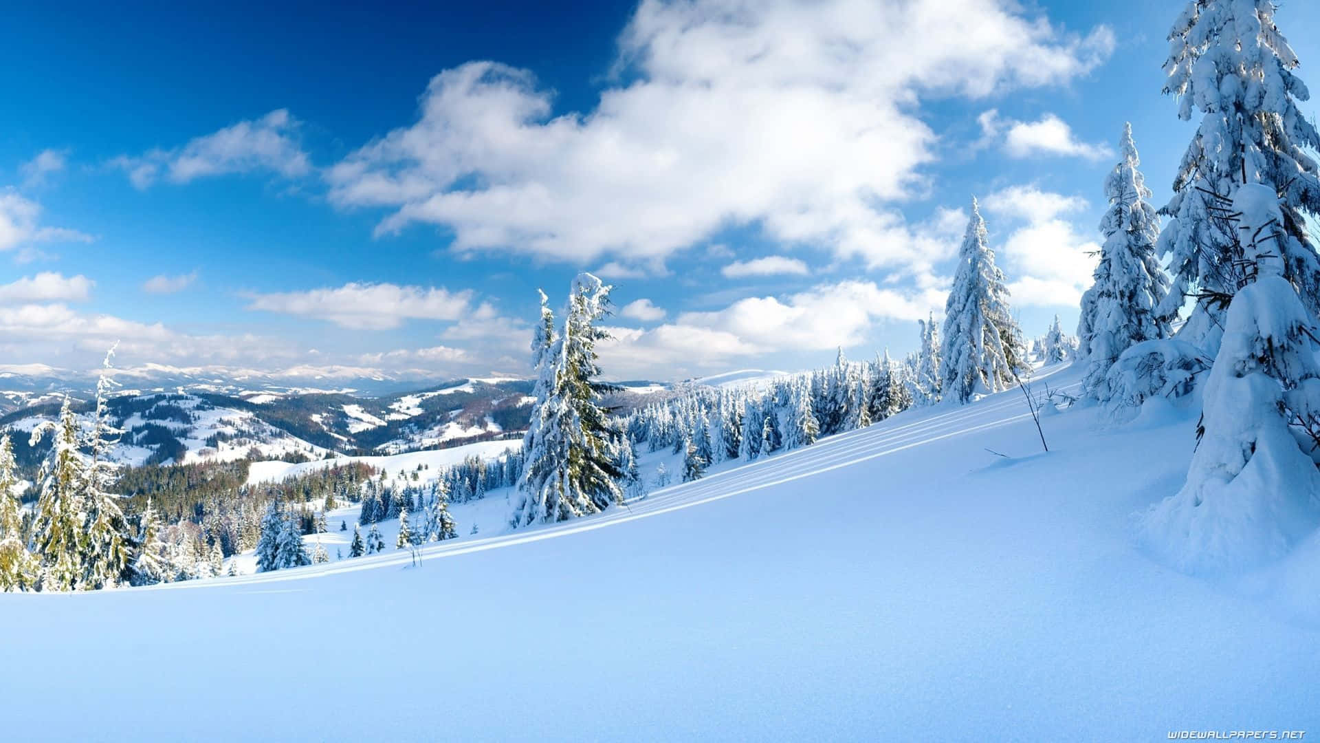 1080p Winter 桌布 壁紙 — 白雪覆蓋著常青樹，在明亮的藍天下有蓬鬆的白雲，構成寧靜的冬季山景。