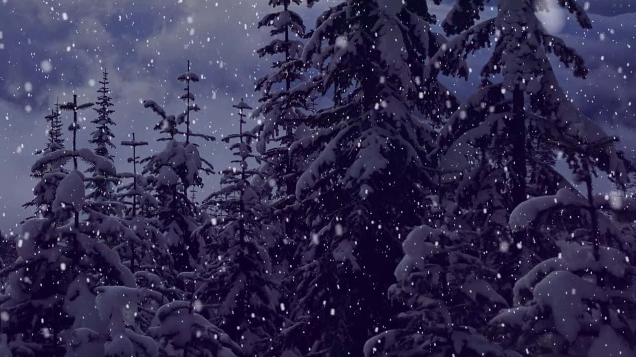 聖誕美學 桌布 壁紙 — 白雪覆蓋著常青樹，在深紫色暮色天空下，雪花輕輕飄落。