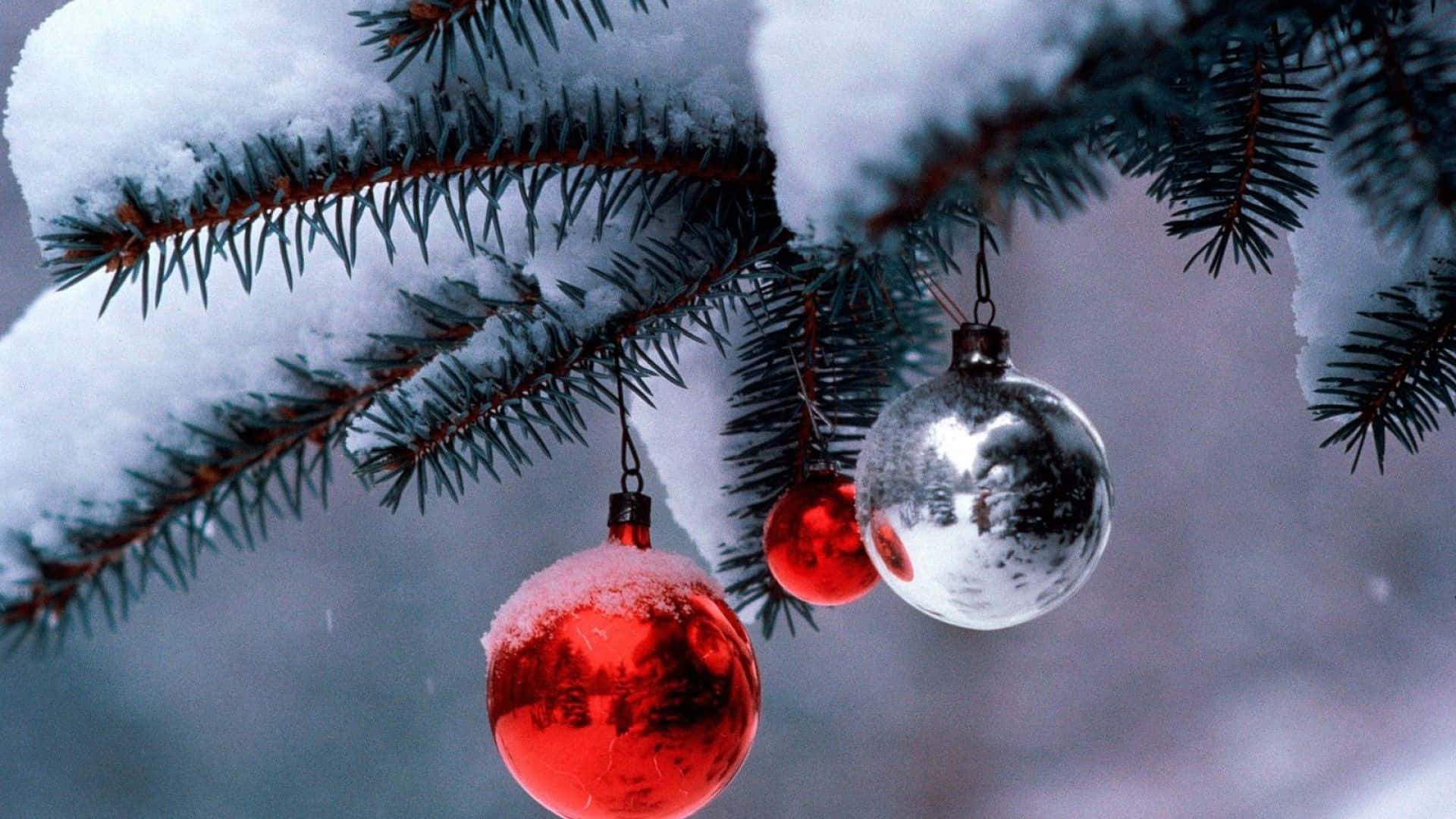 冬季聖誕 桌布 壁紙 — 白雪覆蓋著常青樹枝，樹枝上掛滿閃亮的紅色和銀色聖誕裝飾，映襯著柔和的冬日天空。