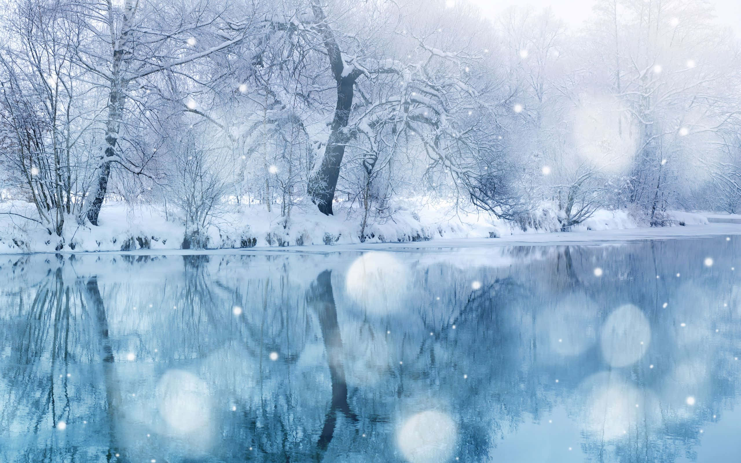 冬季美學 桌布 壁紙 — 白雪覆蓋著平靜冰湖旁的裸露樹木，反射著飄落雪花的柔和光芒。