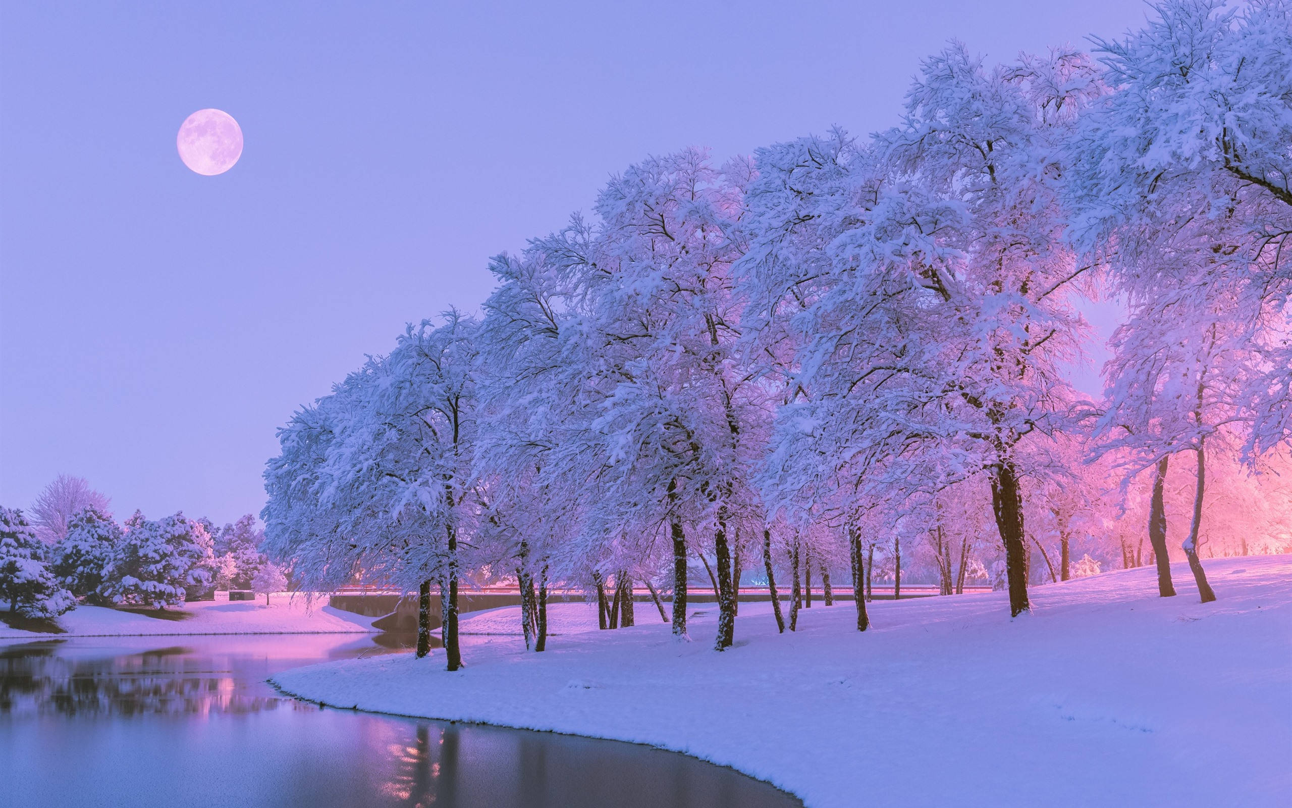 雪景 桌布 壁紙 — 白雪覆蓋著平靜河流旁的樹木，在粉紅色和紫色的月光下閃爍。