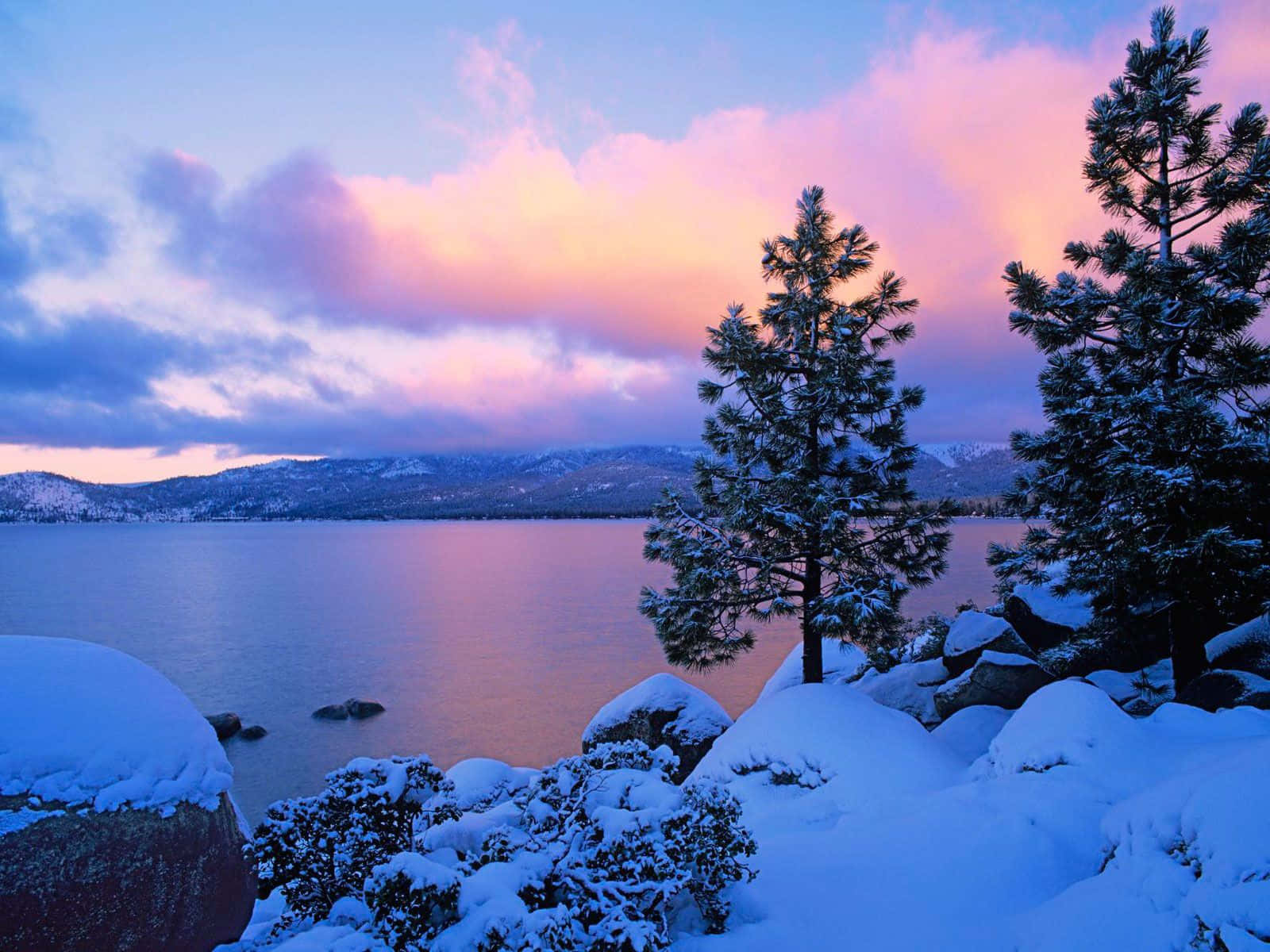 Winter Scene 桌布 壁紙 — 白雪覆蓋著松樹和岩石，旁邊是一個平靜的湖泊，黃昏時分，粉紅色和紫色的雲彩在遠山上方發光。