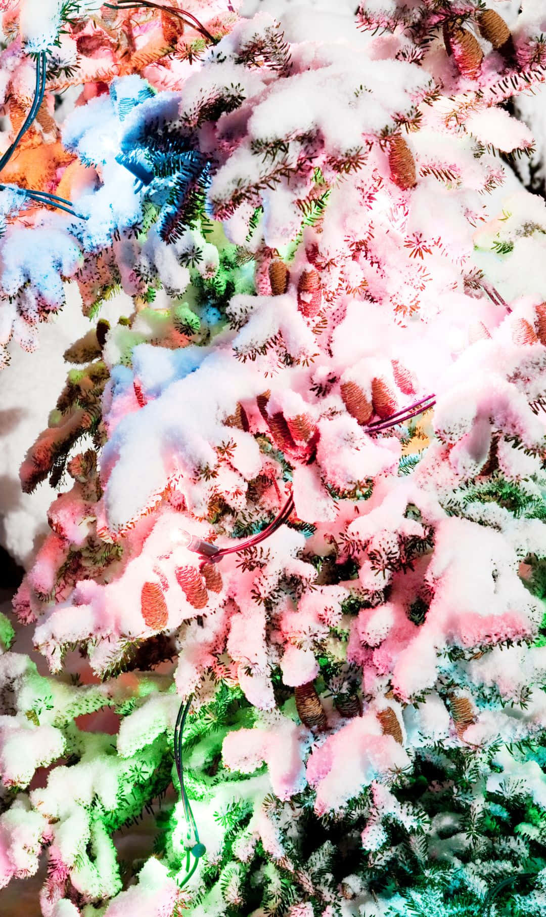 1080x1812 桌布 壁紙 — 白雪覆蓋著松樹枝，閃爍著鮮豔的粉紅、藍和綠色燈光，營造出節日的冬季仙境。