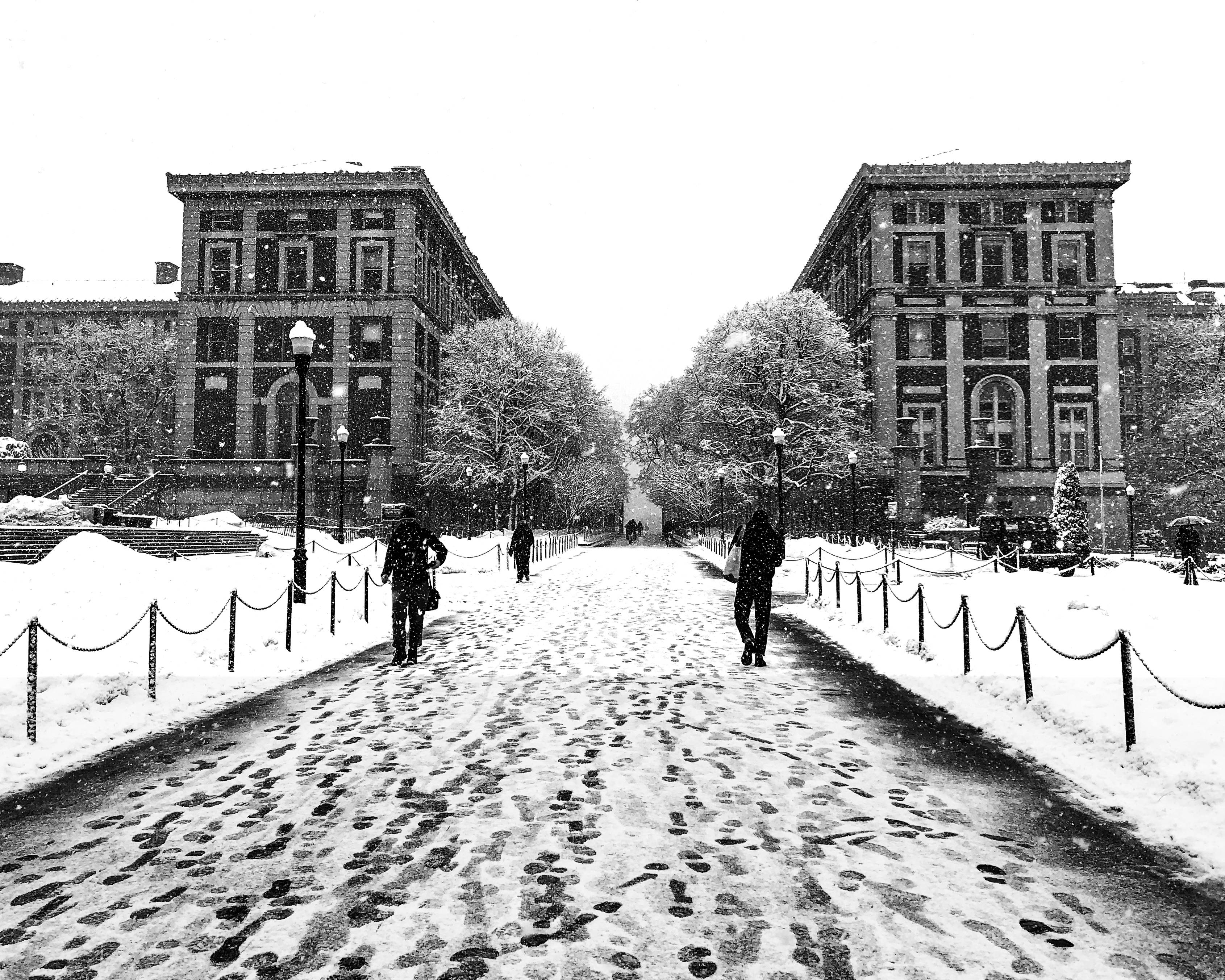 大學 桌布 壁紙 — 白雪覆蓋著歷史悠久的大學廣場，行人走過宏偉建築之間鵝卵石小徑上的腳印。