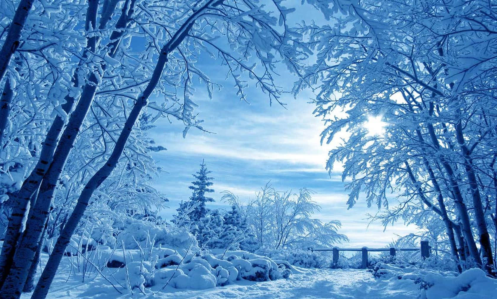 冬季 桌布 壁紙 — 白雪覆蓋著結霜的樹木，在明亮的藍色冬日天空下，陽光穿過樹枝照耀。