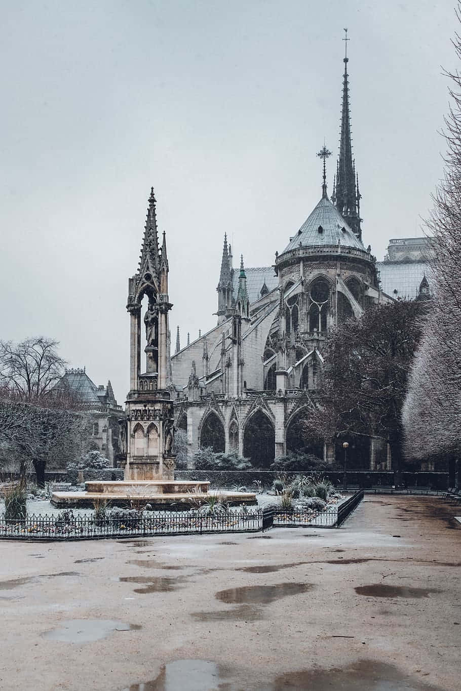 Notre Dame 桌布 壁紙 — 白雪覆蓋著聖母院周圍的哥德式尖頂和光禿的樹木，構成寧靜的冬日景象。