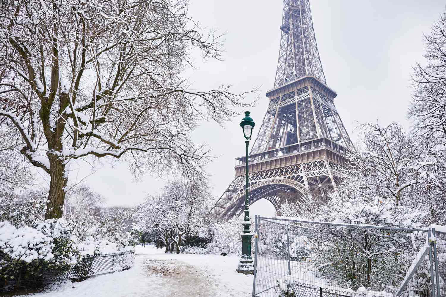 Paris Eiffel Tower 桌布 壁紙 — 白雪覆蓋著艾菲爾鐵塔和周圍的樹木，在陰天之下呈現寧靜的冬日景象。