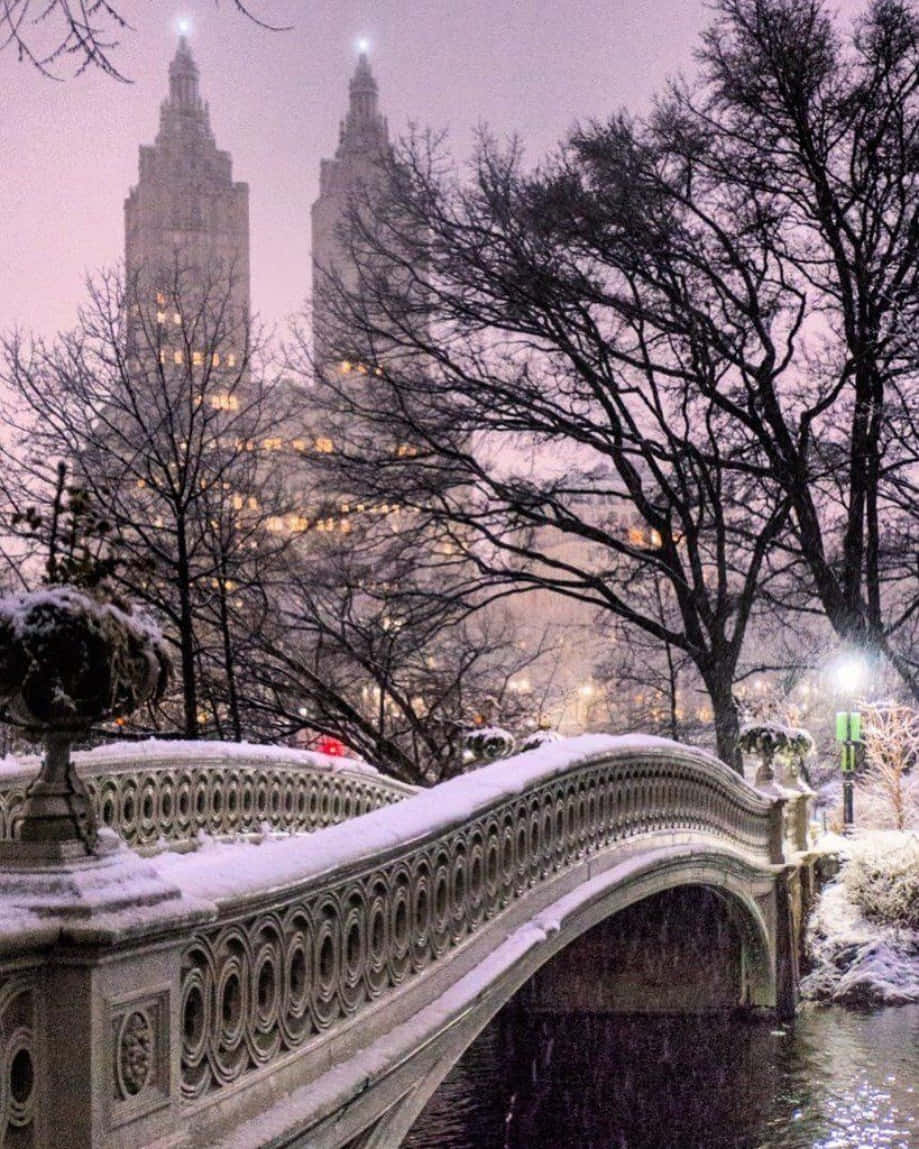 Nyc Aesthetic 桌布 壁紙 — 白雪覆蓋著貝塞斯達噴泉橋華麗的拱門，光禿禿的樹木襯托出暮色中高聳城市摩天大樓閃爍的窗戶。