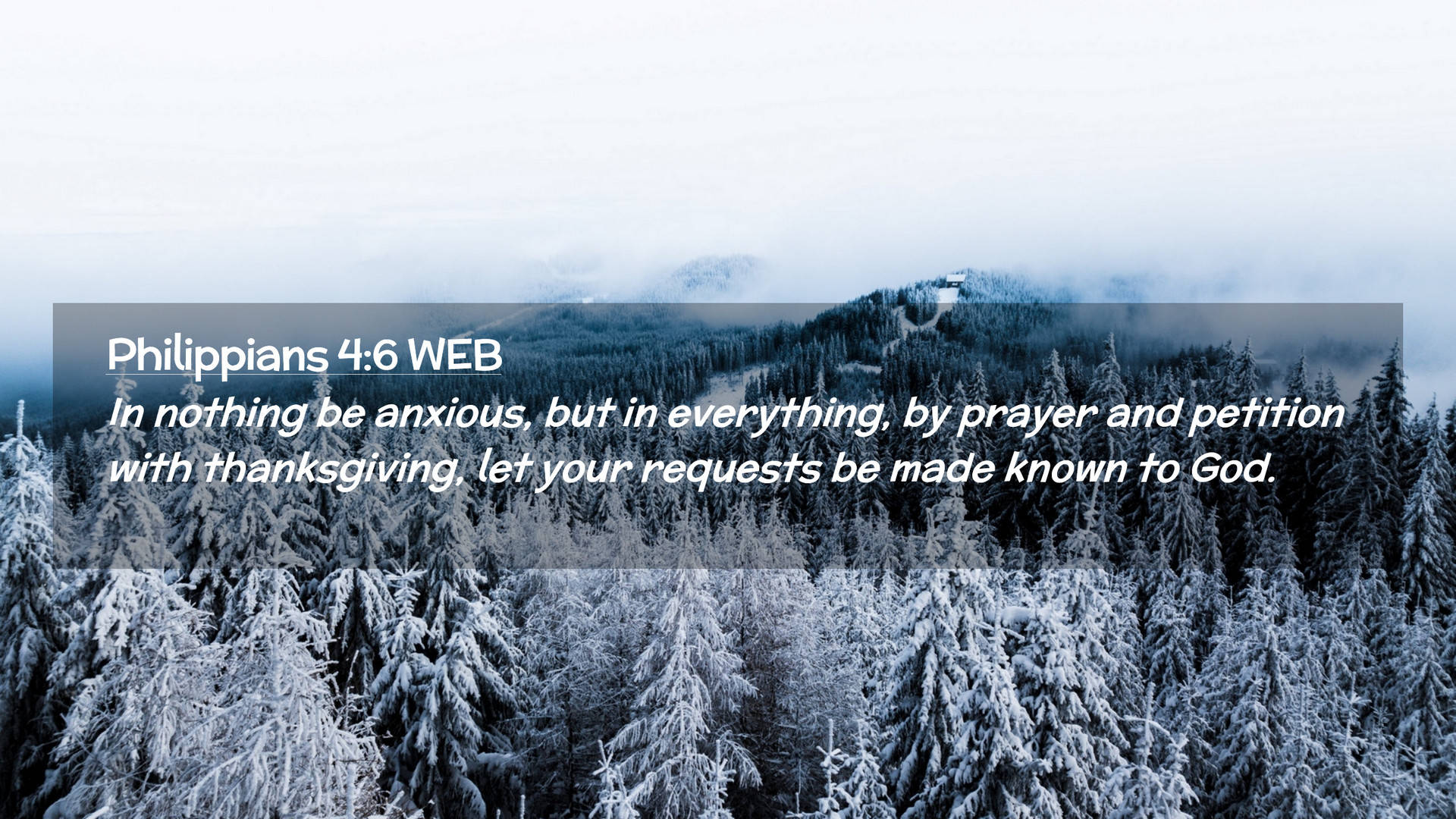 Anxiety 桌布 壁紙 — 白雪覆蓋著迷霧山森林中的常綠樹，在蒼白的冬日天空下，帶有經文疊加。