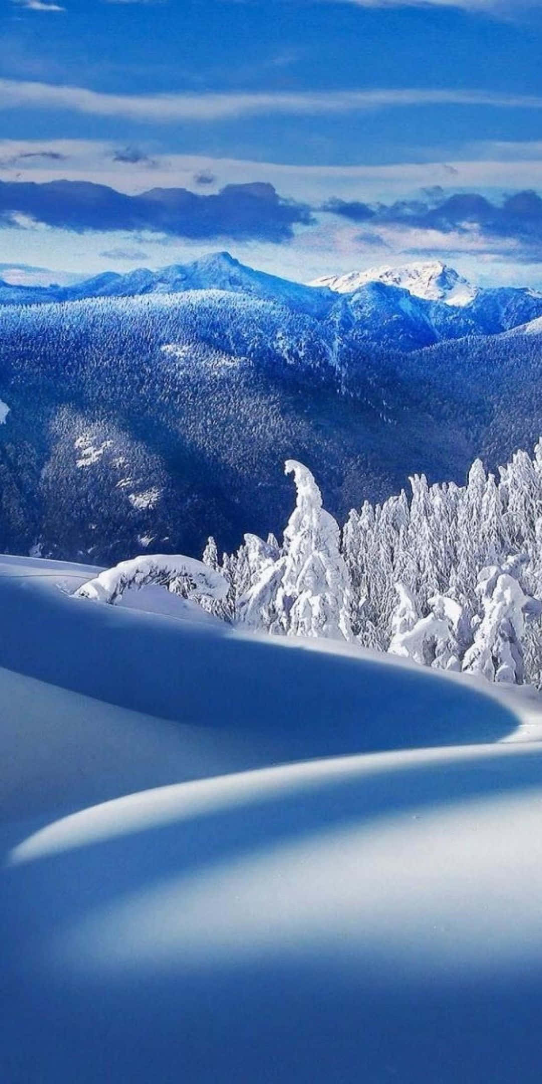 冬天 桌布 壁紙 — 白雪覆蓋連綿起伏的山坡和結霜的樹木，在明亮的藍天下有縷縷白雲。