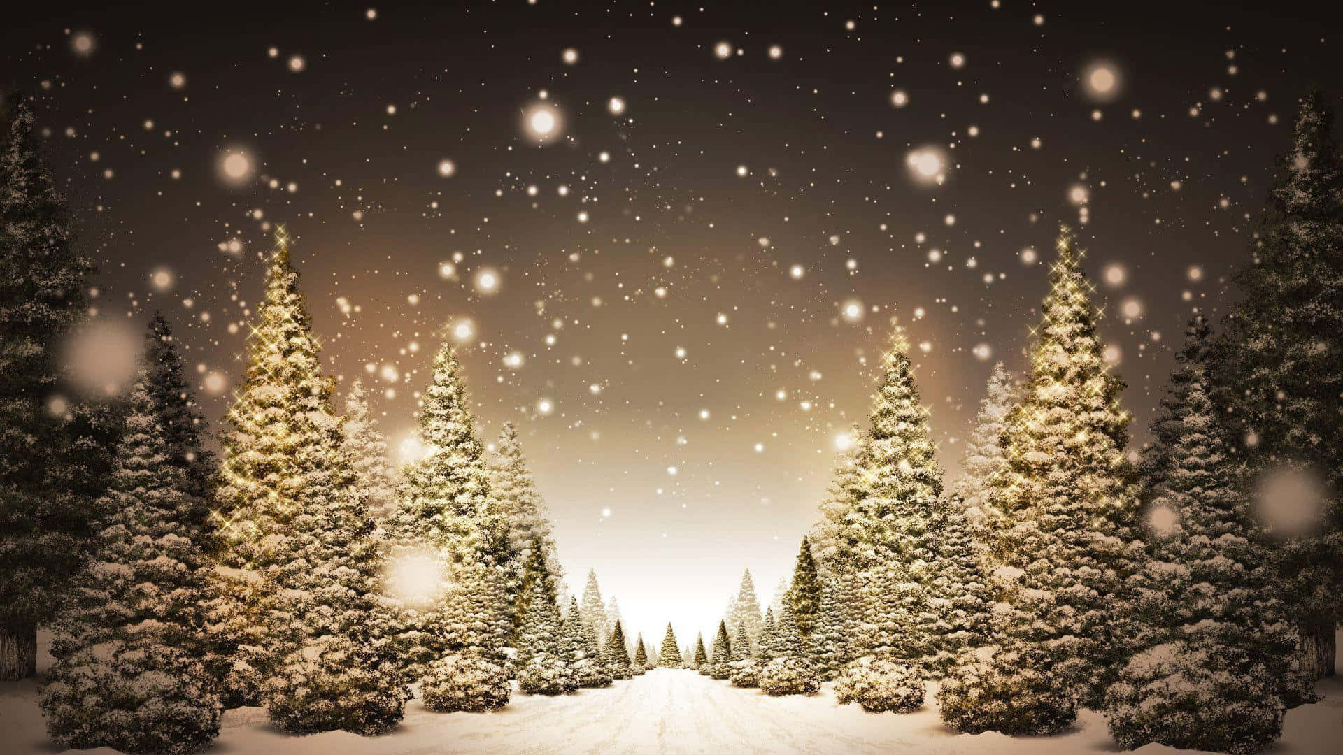 聖誕節 桌布 壁紙 — 白雪覆蓋高大的松樹，在溫暖發光的天空下，雪花飄落，營造出寧靜的冬季森林場景。