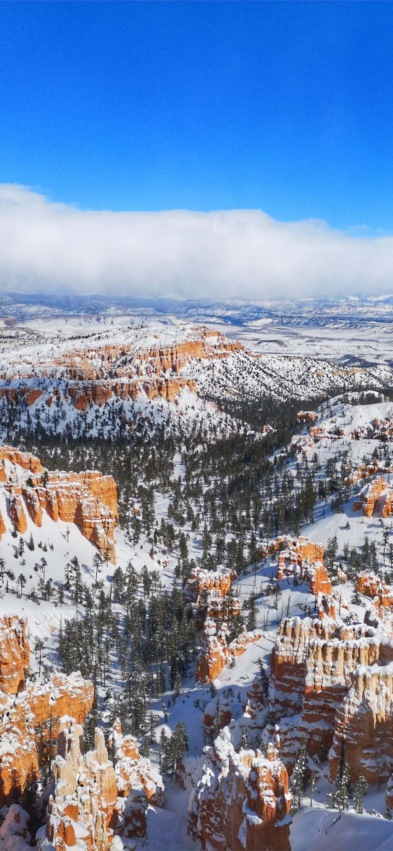 Utah 桌布 壁紙 — 白雪覆蓋高聳的橙色岩柱和常綠樹，廣闊藍天白雲飄逸。