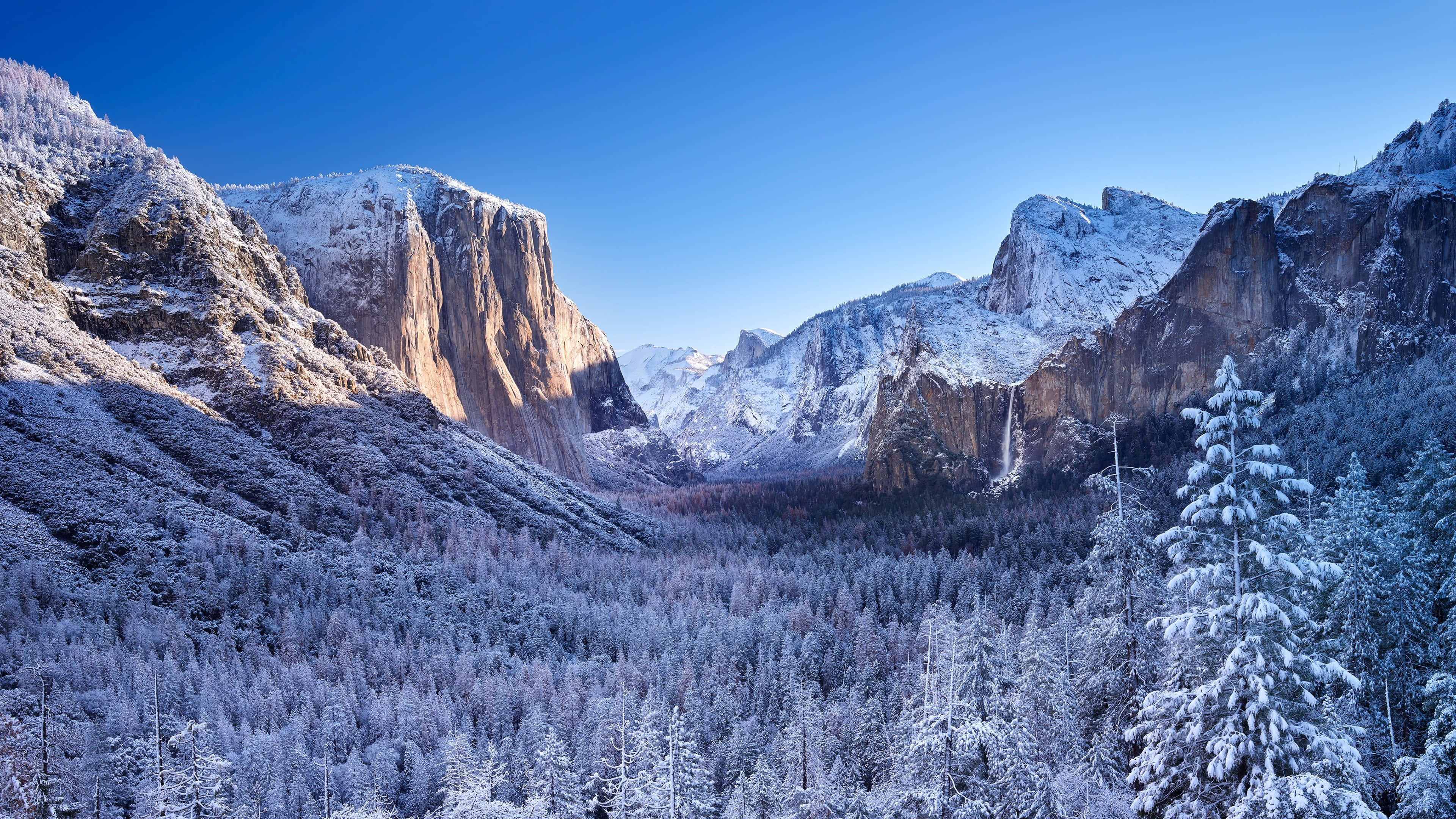 山景 桌布 壁紙 — 白雪覆蓋高聳的花崗岩懸崖和茂密的松林，在晴朗的藍天下，構成一個雄偉的冬季山谷。