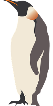 皇帝企鹅插画 壁紙
