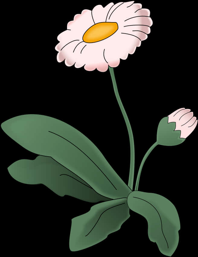 盛開雛菊向量插圖 壁紙