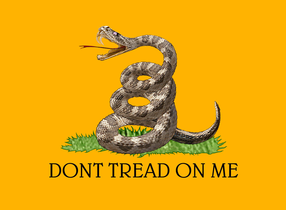 Flag 桌布 壁紙 — 盤繞在草地上的響尾蛇，張開嘴巴露出毒牙，背景為亮黃色，下方有粗體文字。