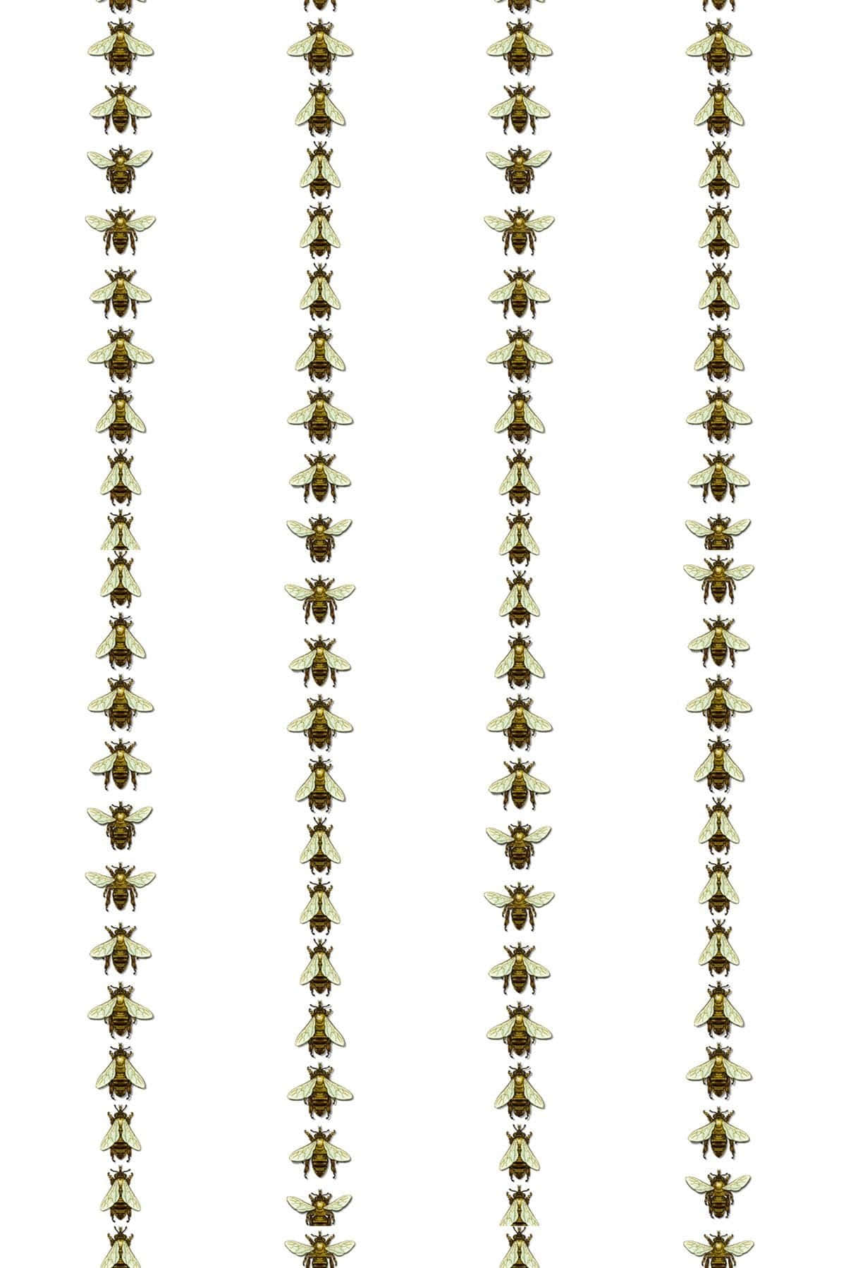 bees 桌布 壁紙 — 相同金色蜜蜂的垂直列，帶有半透明翅膀，在純白背景上重複排列。
