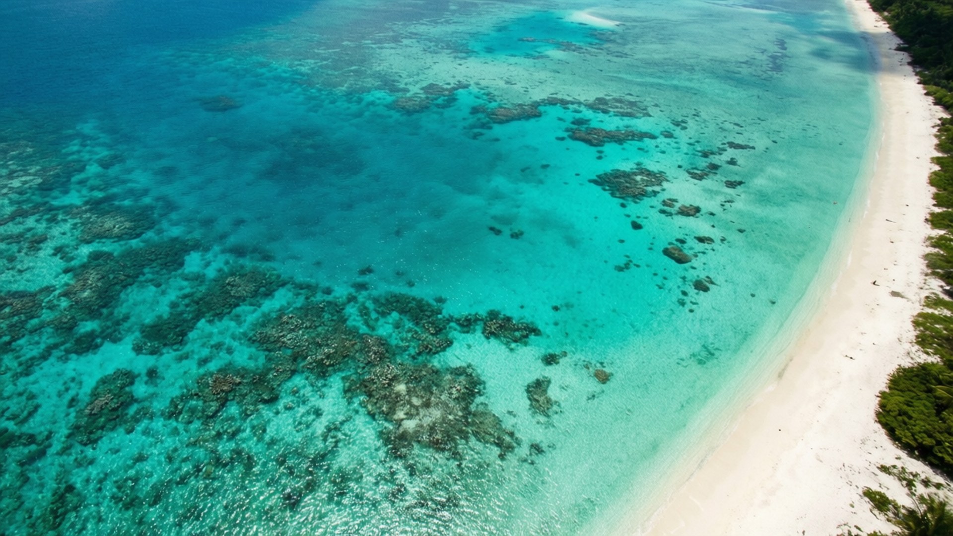 碧綠空中天堂 壁紙 — 原始熱帶海灘的鳥瞰圖，碧綠的海水顯露出珊瑚礁和白色沙灘，周圍環繞著茂密的綠色植物。
