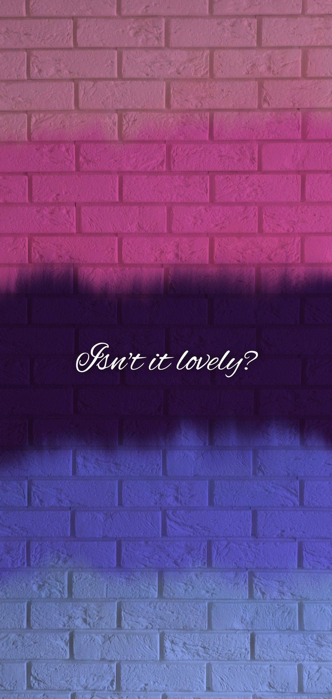 Omnisexual 桌布 壁紙 — 磚牆塗上粉紅、紫色和藍色的漸變色，並以白色草書寫上「Isn't it lovely?」的文字。