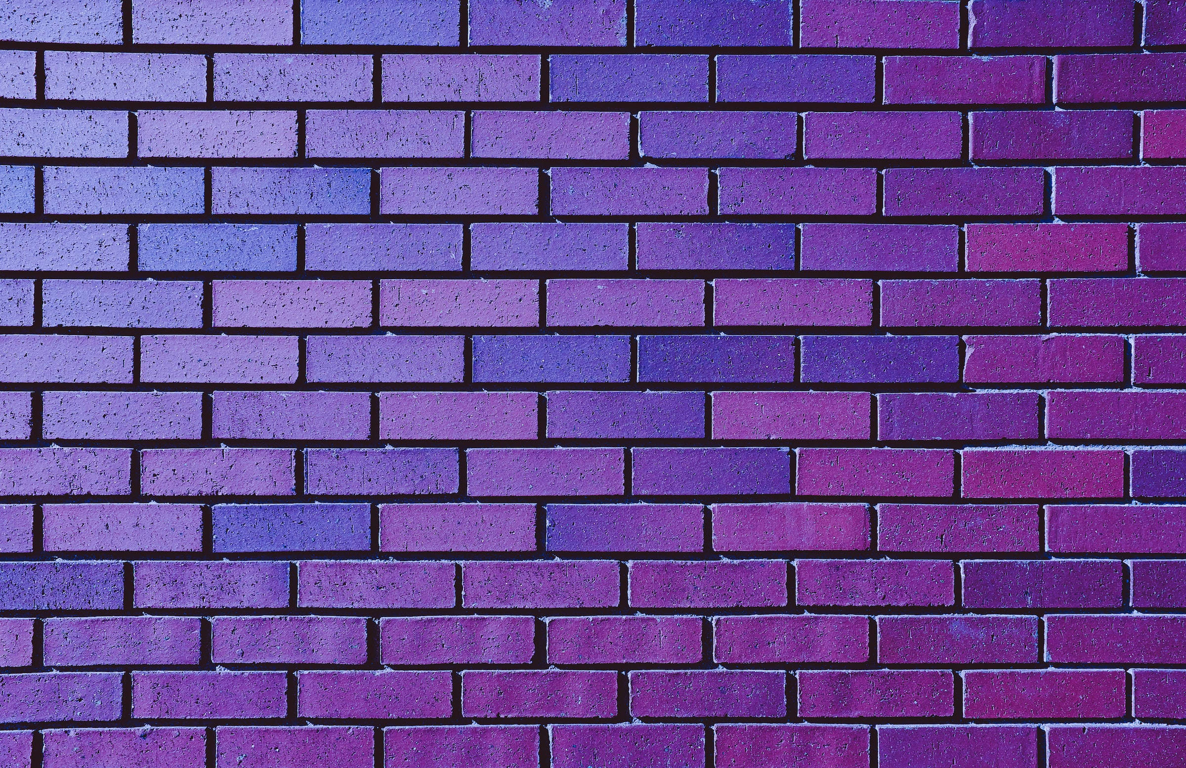 Brick Wall 桌布 壁紙 — 磚牆的特寫，塗有從淺紫色到深洋紅色的漸變色調。