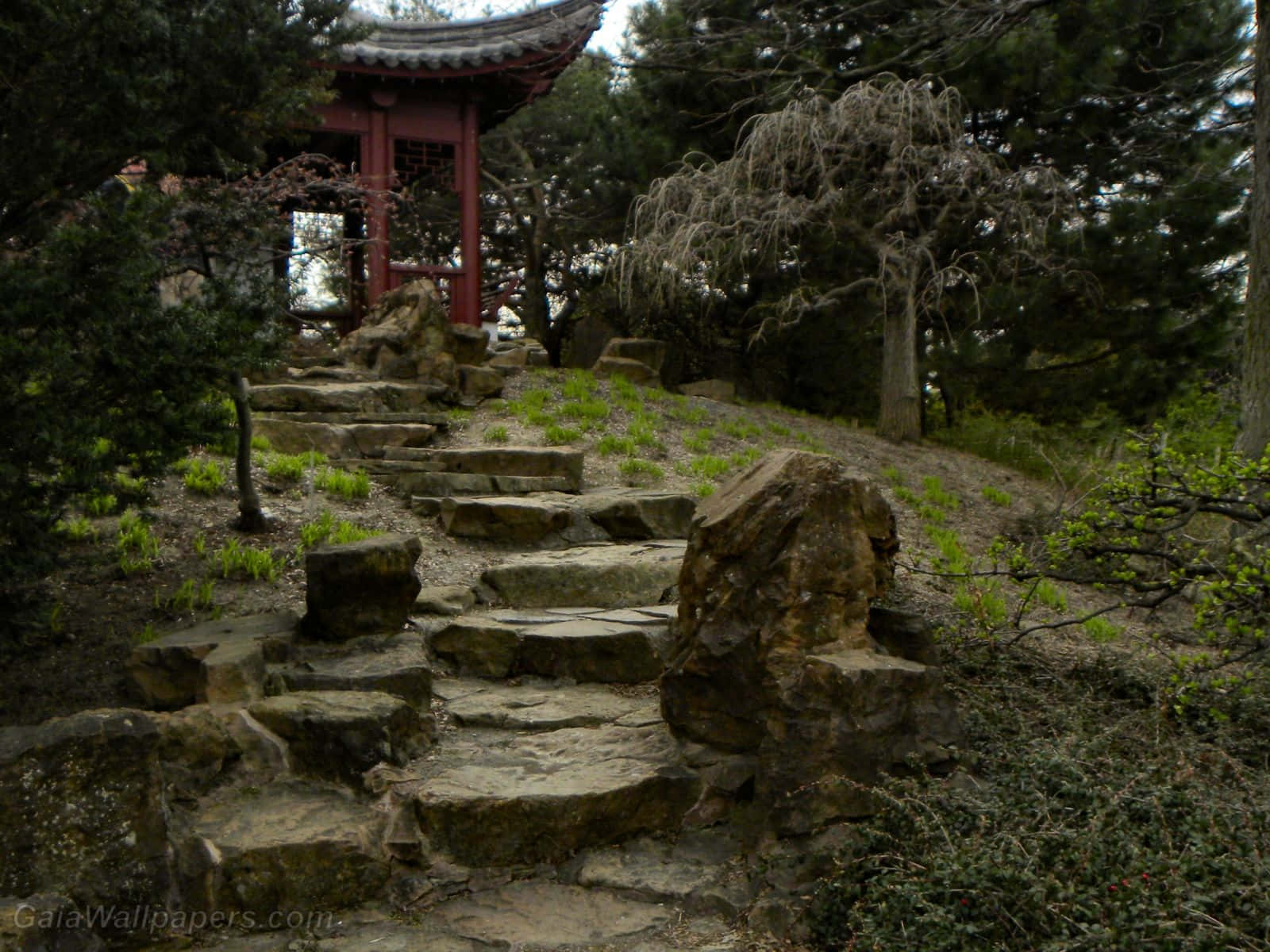 Relaxation 桌布 壁紙 — 磨損的石階蜿蜒上山，穿過長滿苔蘚的森林，通往傳統的紅色木亭。