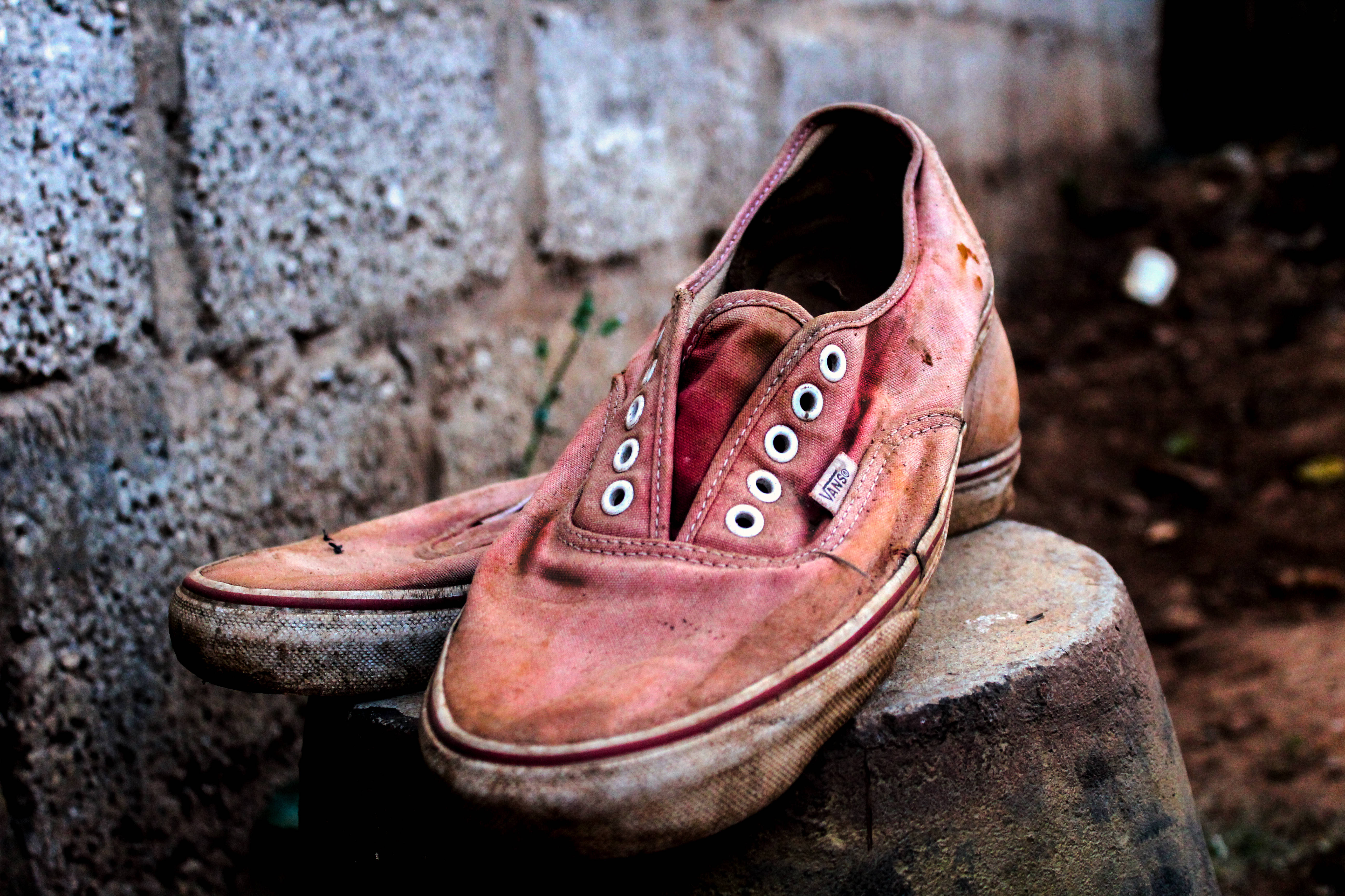 Vans 桌布 壁紙 — 磨損的紅色運動鞋放在粗糙混凝土牆旁風化的木樁上。